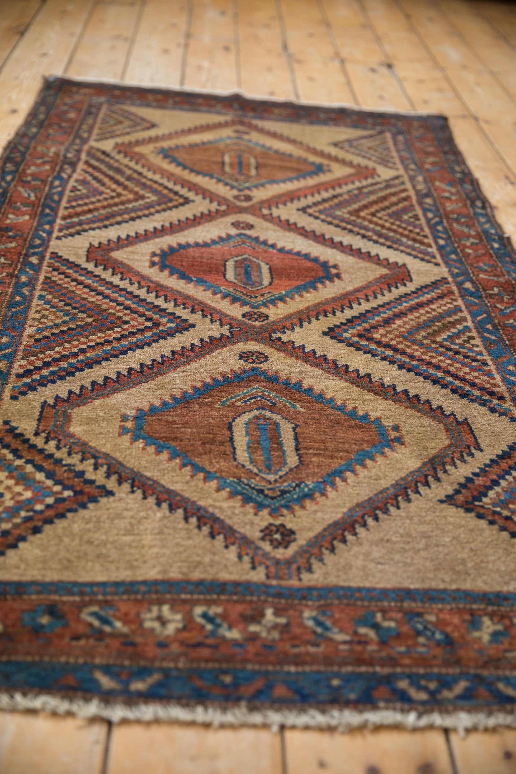 3x6 Antique Camel Hair Serab Rug Runner by Old New House® - product image 6 for Resin Society