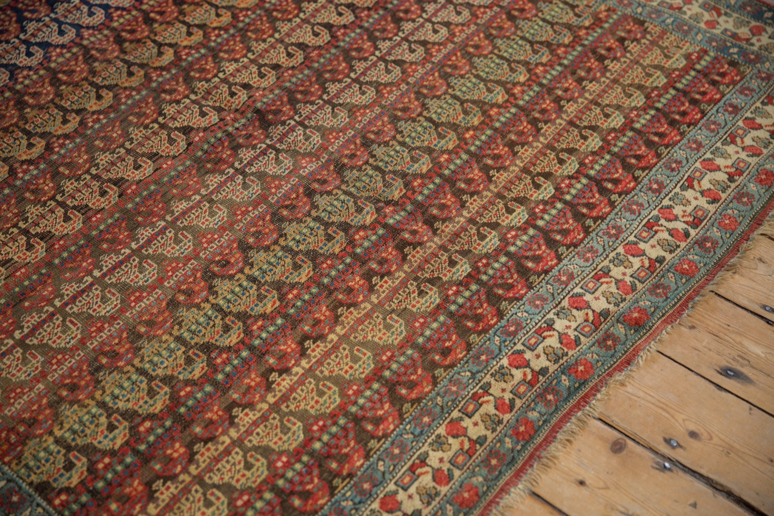 5.5x9 Antique Fine Bijar Carpet by Old New House® - product image 4 for Resin Society