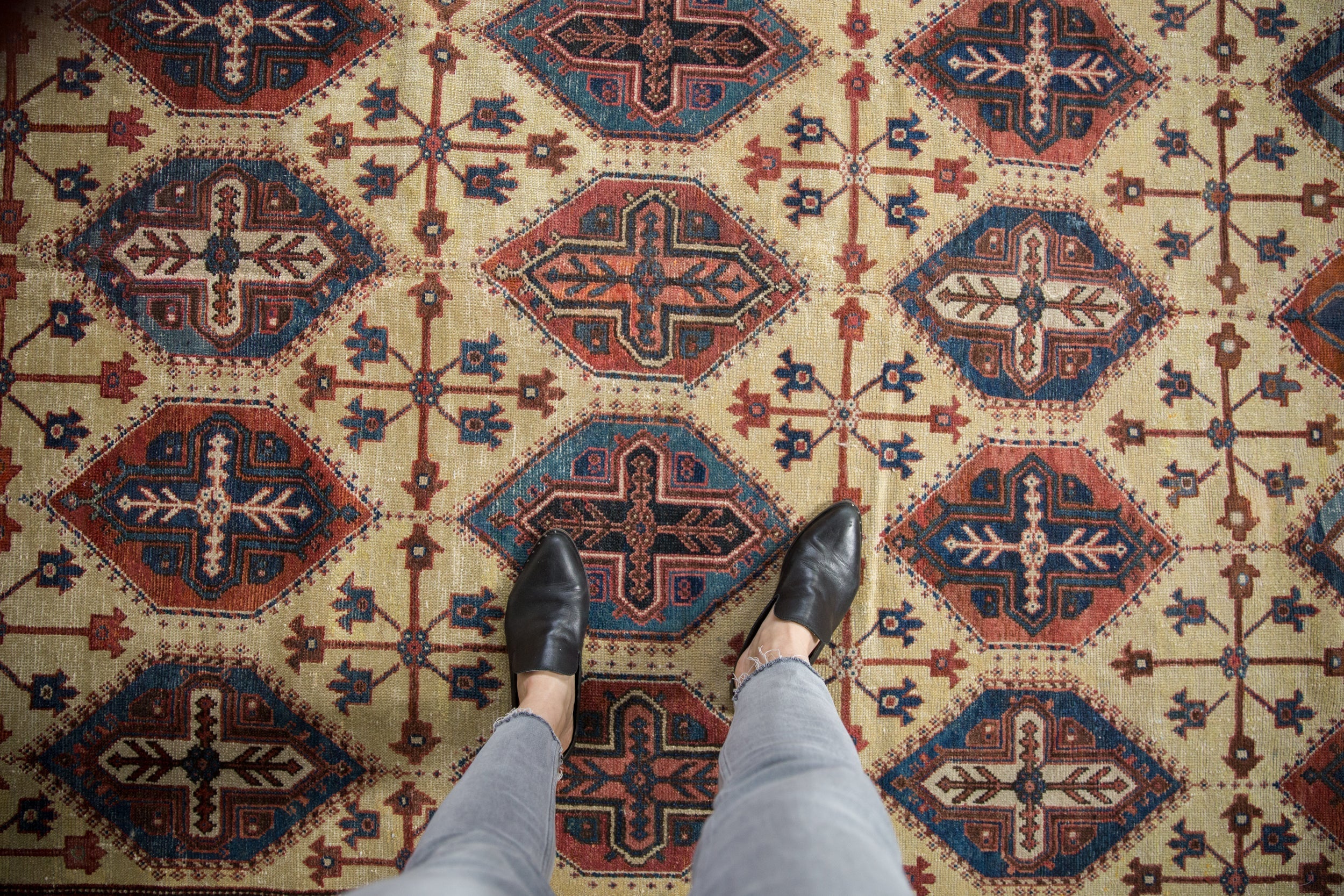 6.5x10.5 Vintage Northwest Persian Carpet by Old New House® - product image 2 for Resin Society