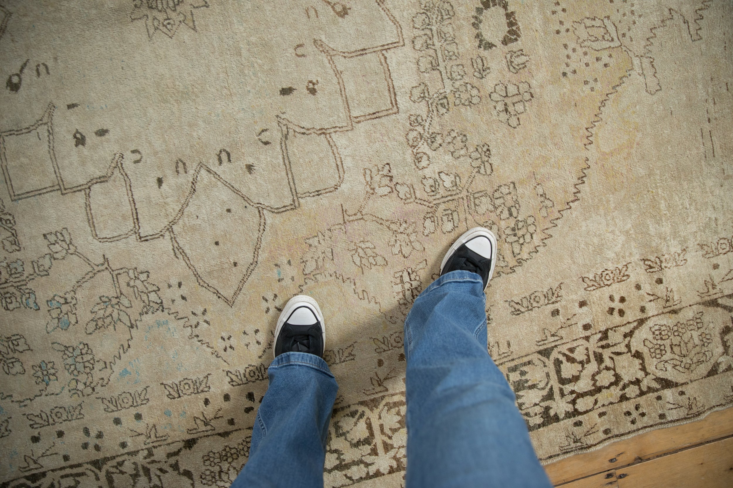 8x11 Antique Distressed Kerman Carpet by Old New House® - product image 2 for Resin Society