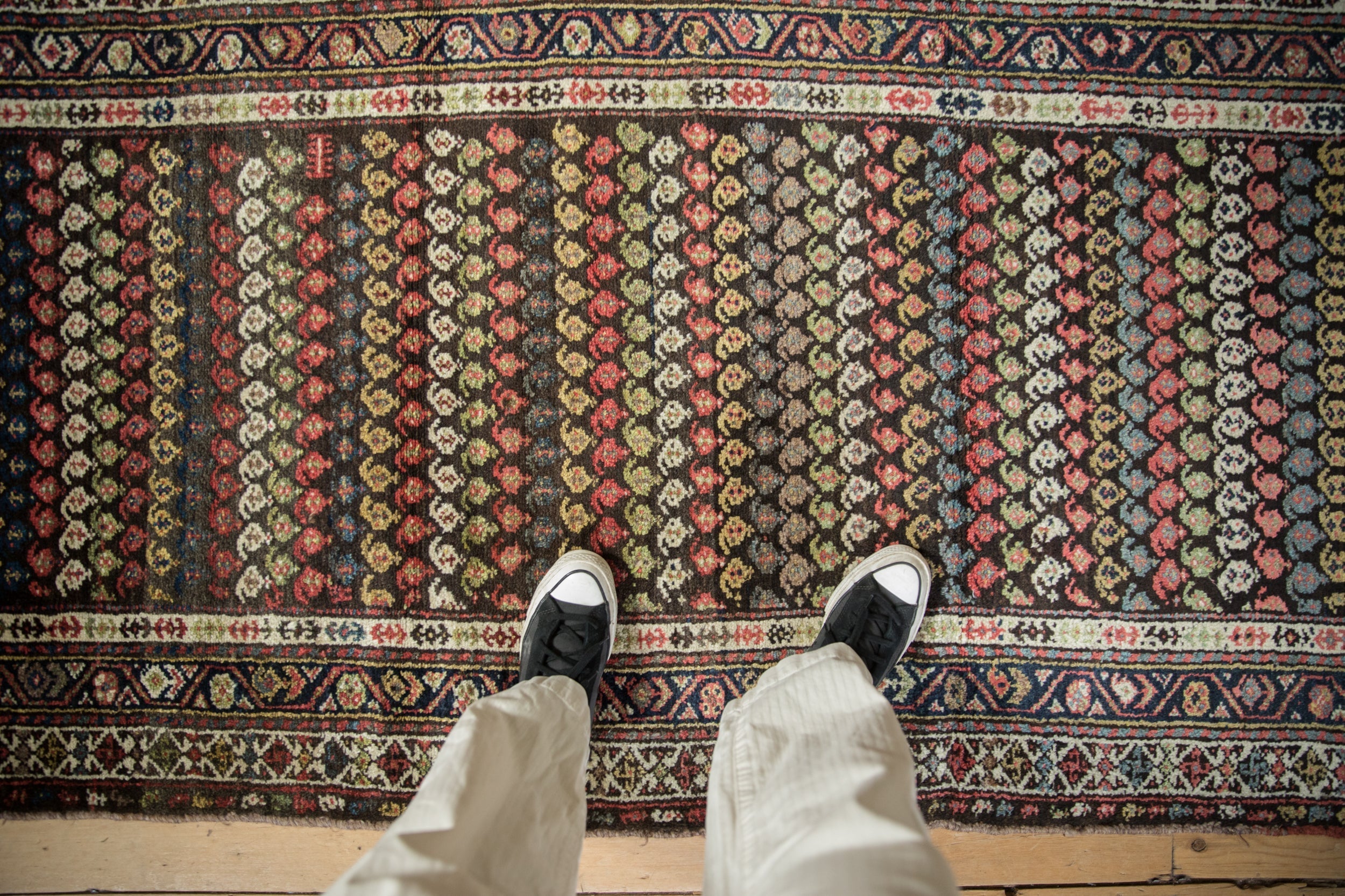 3.5x8.5 Vintage Kurdish Hamadan Rug Runner by Old New House® - product image 2 for Resin Society