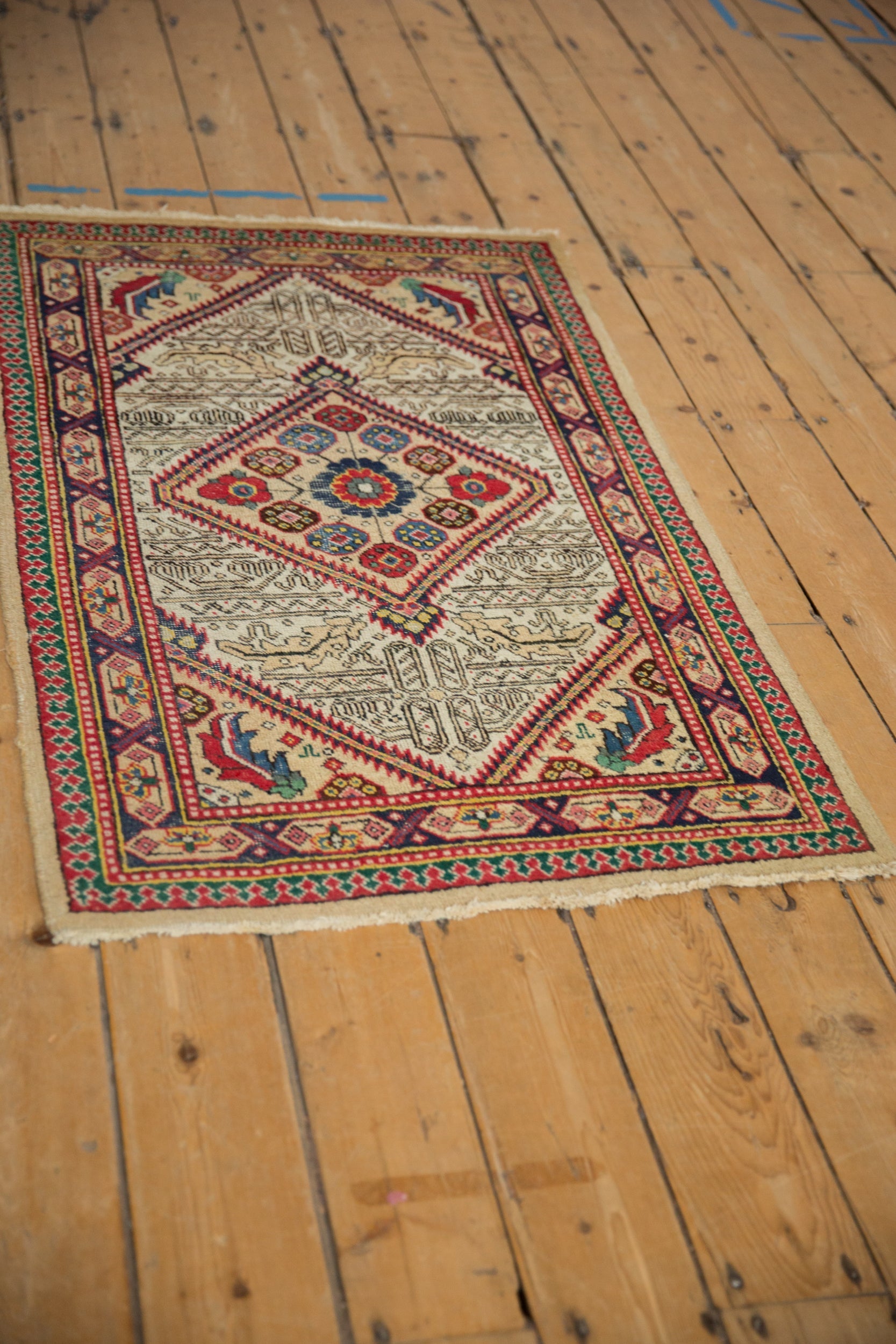 2.5x4.5 Vintage Serab Rug by Old New House® - product image 4 for Resin Society