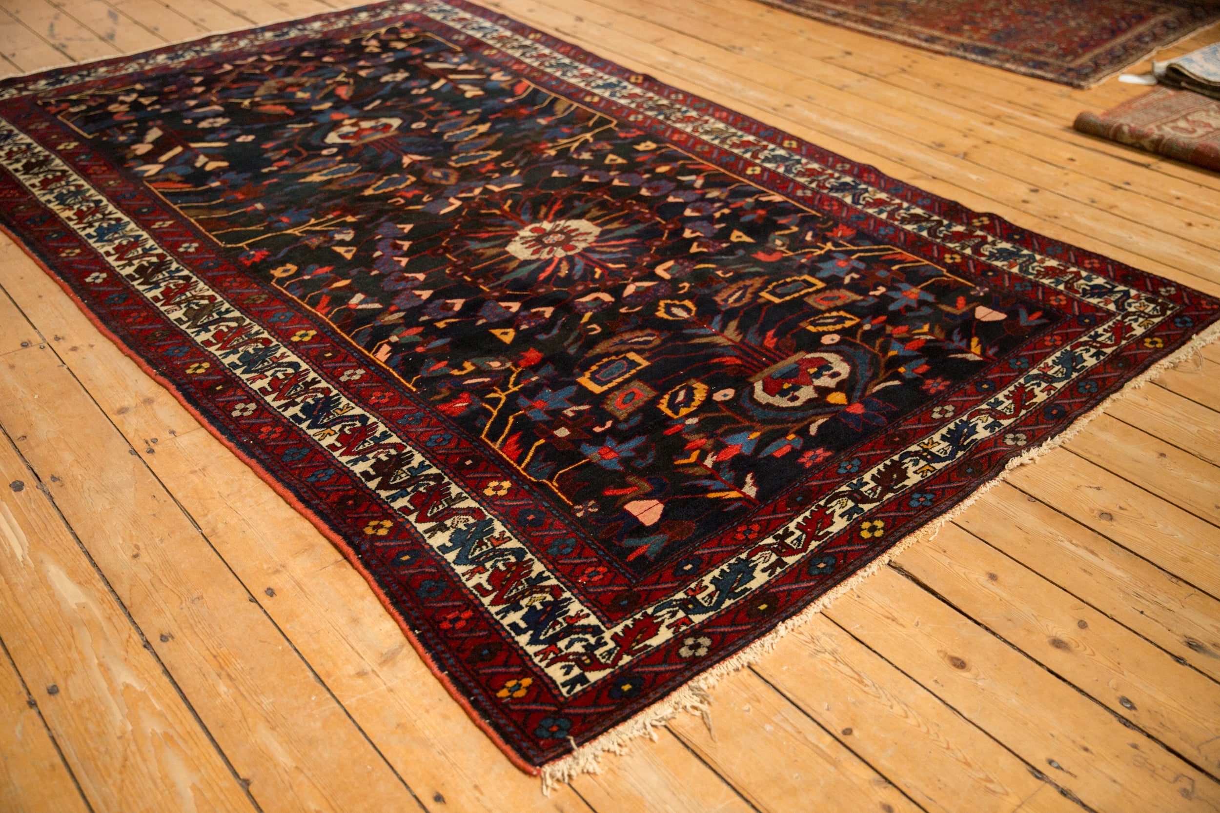 5.5x9 Vintage Bakhtiari Carpet by Old New House® - product image 4 for Resin Society
