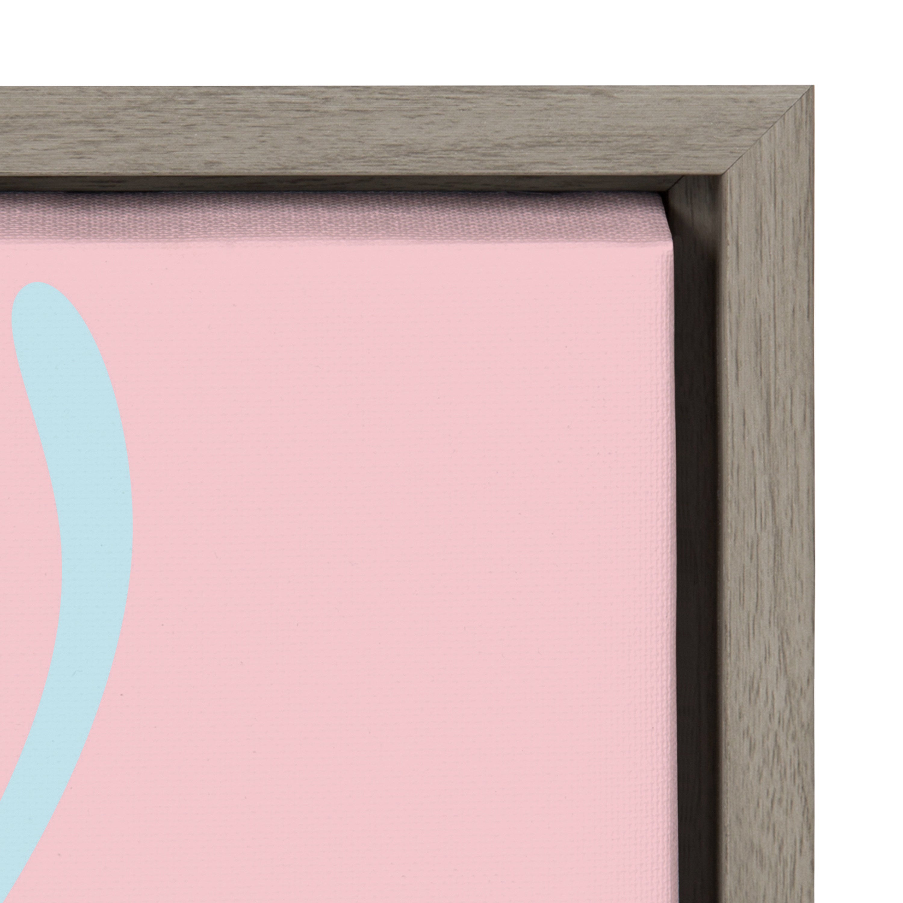 Sylvie Mid Century Modern Protea Framed Canvas by kateandlaurel - product image 11 for Resin Society