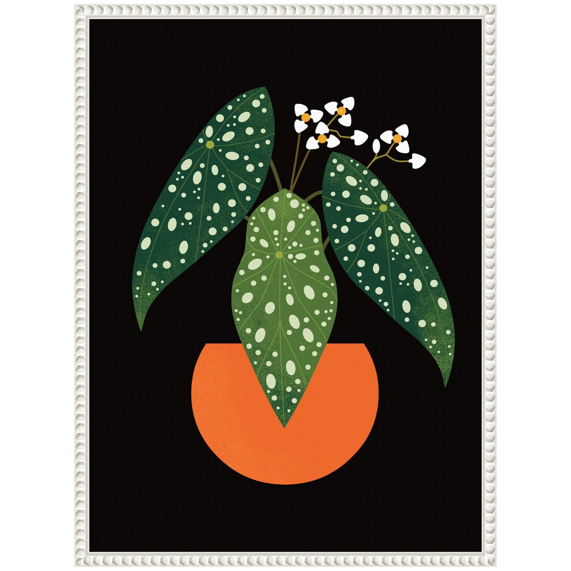 Sylvie Polka Dot Begonia Framed Canvas by Amber Leaders
