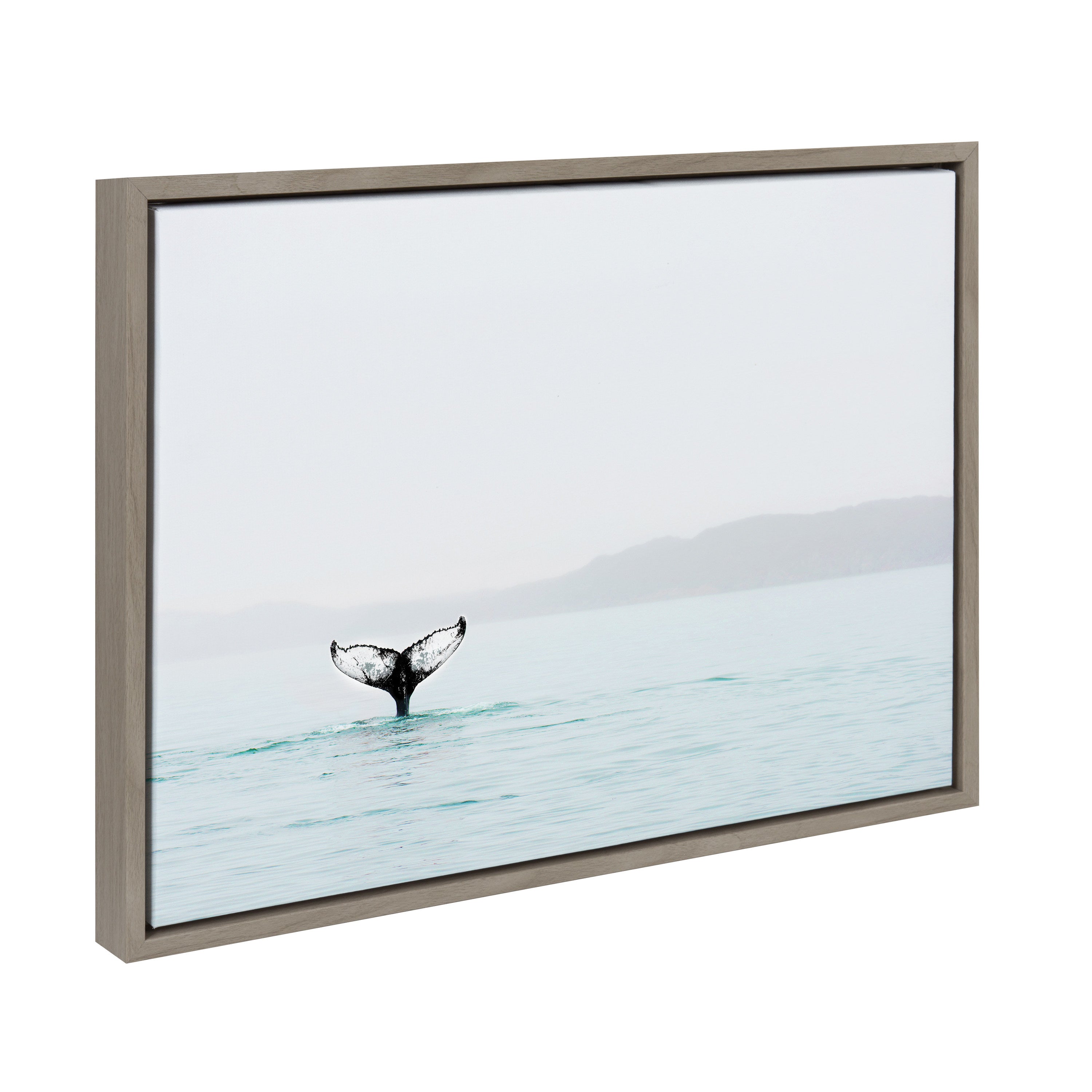 Sylvie Whale Tail In The Mist Framed Canvas by Amy Peterson by kateandlaurel - product image 9 for Resin Society
