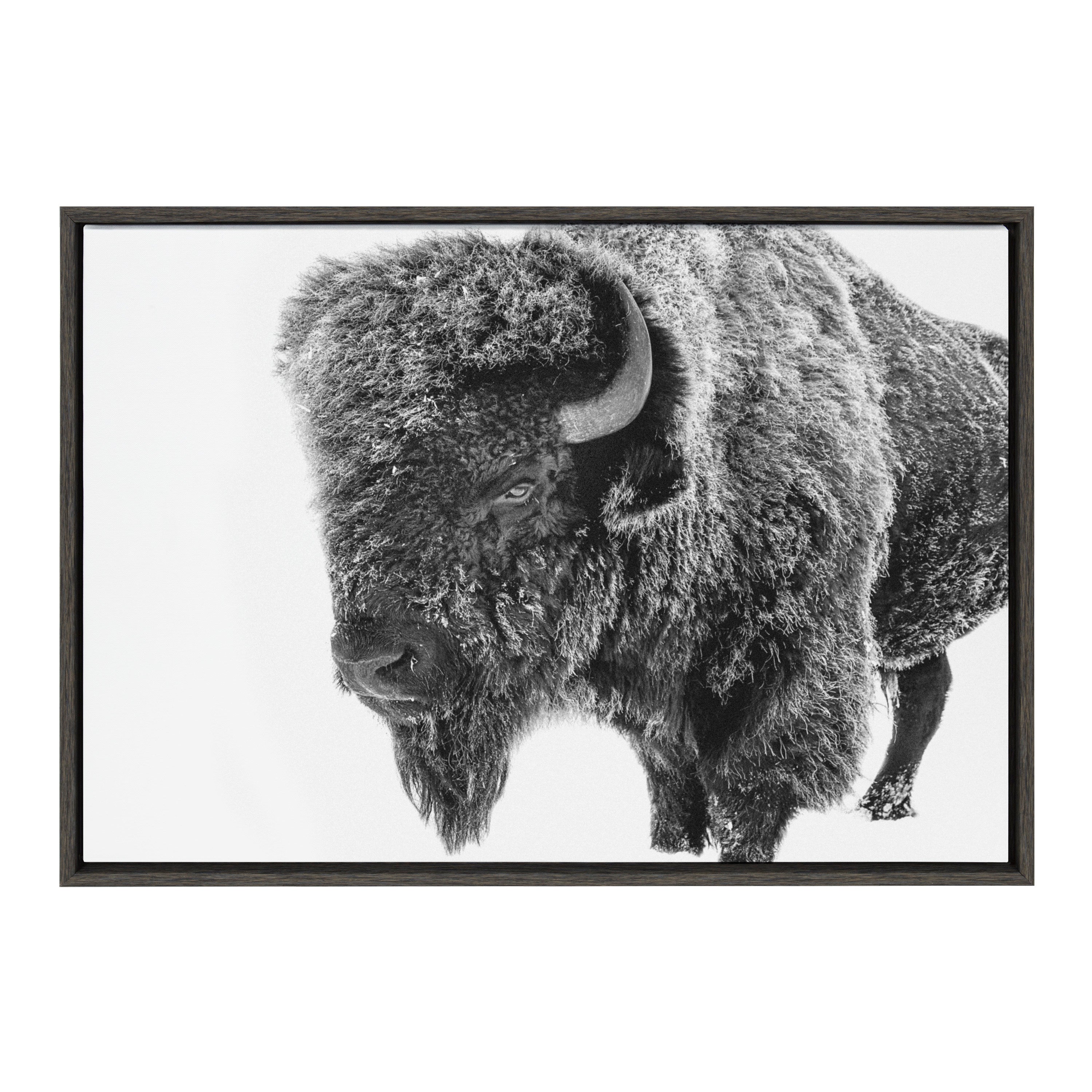 Sylvie Bison in Snow Black and White Framed Canvas by Amy Peterson Art Studio