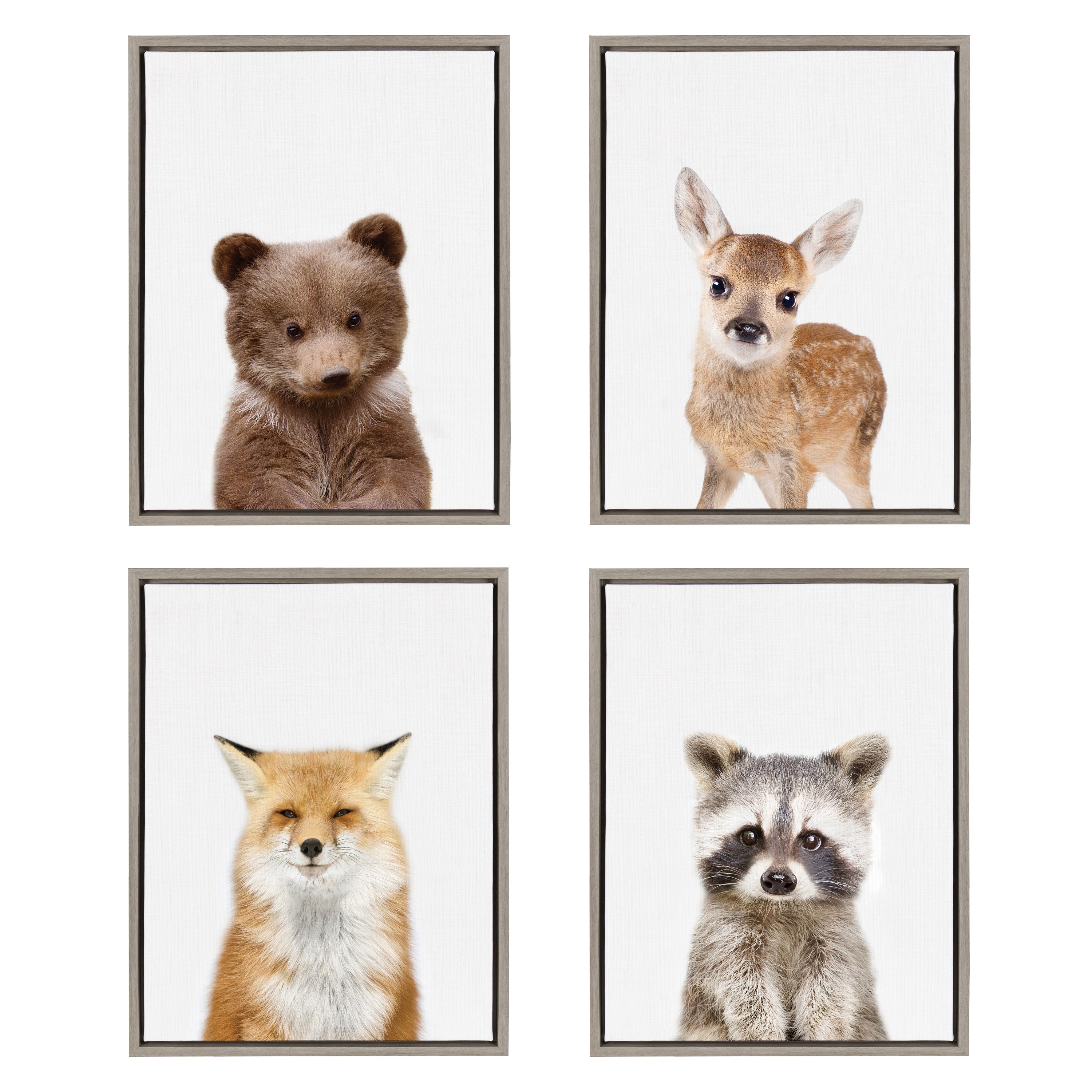 Sylvie Raccoon Framed Canvas by Amy Peterson Art Studio