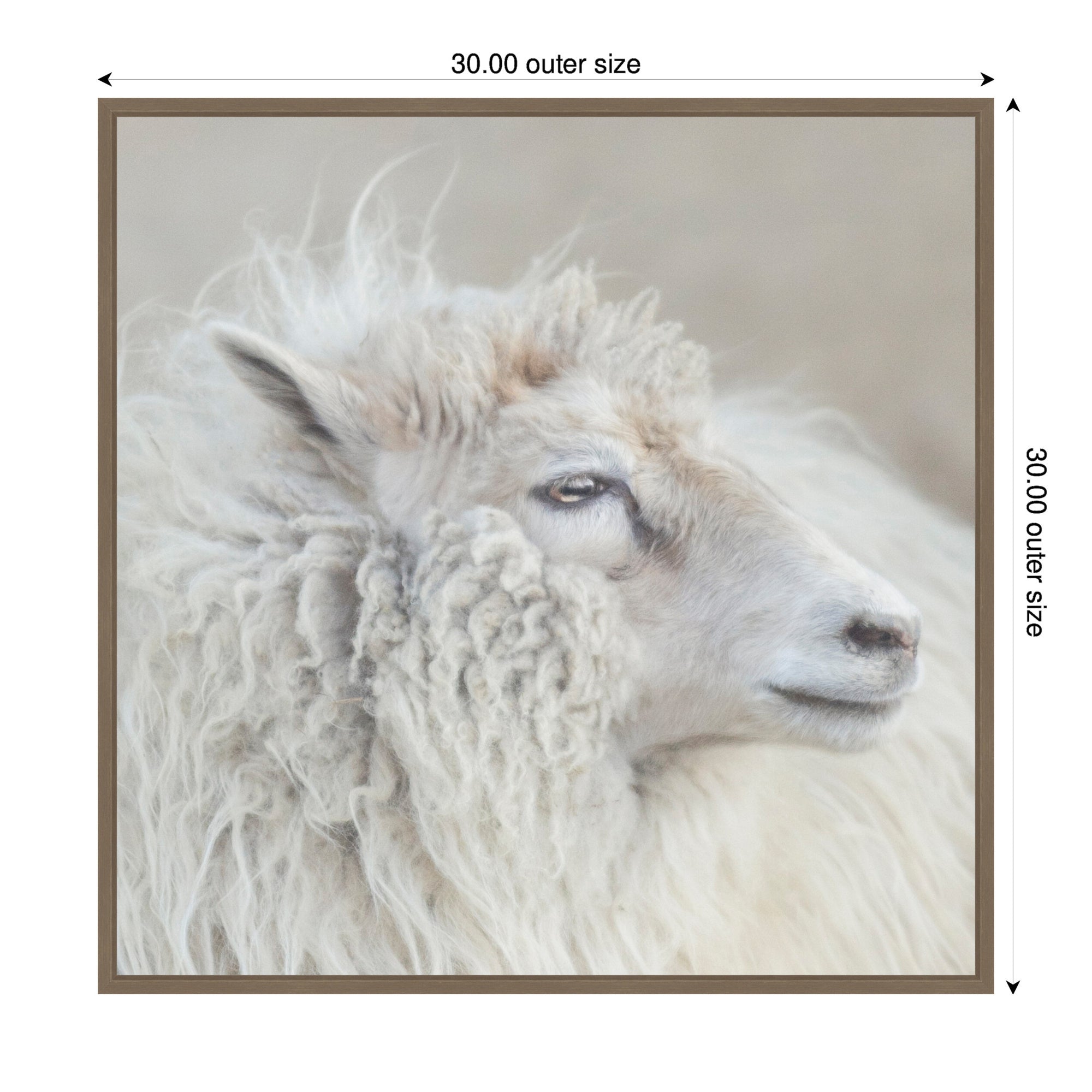 Harry Crop by Emiko and Mark Franzen F2 Images Framed Canvas Wall Art Print