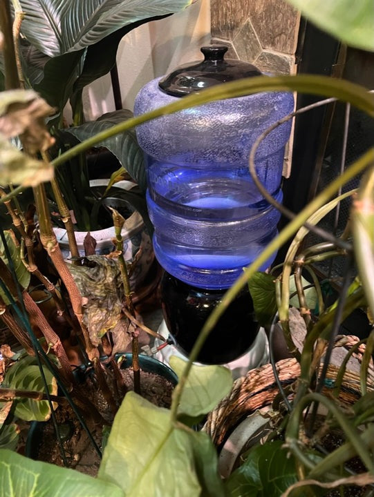2-month Vacation Watering Kit by Sustainable Village - product image 3 for Resin Society