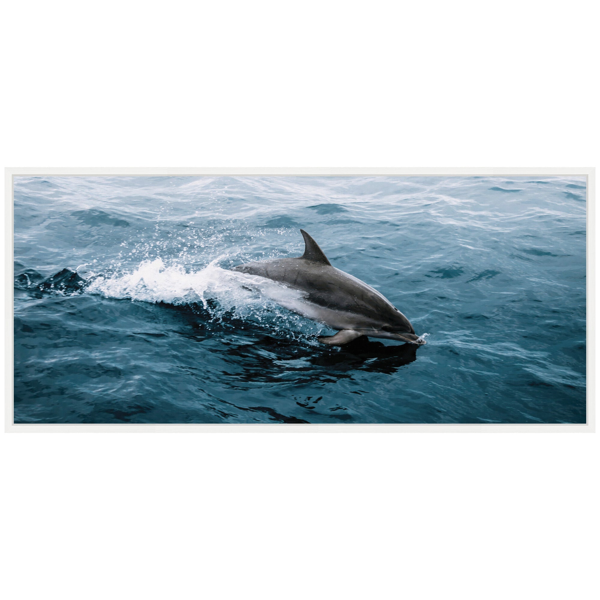 Sylvie Dolphin Skipping along in the Ocean Framed Canvas by Michael Schauer