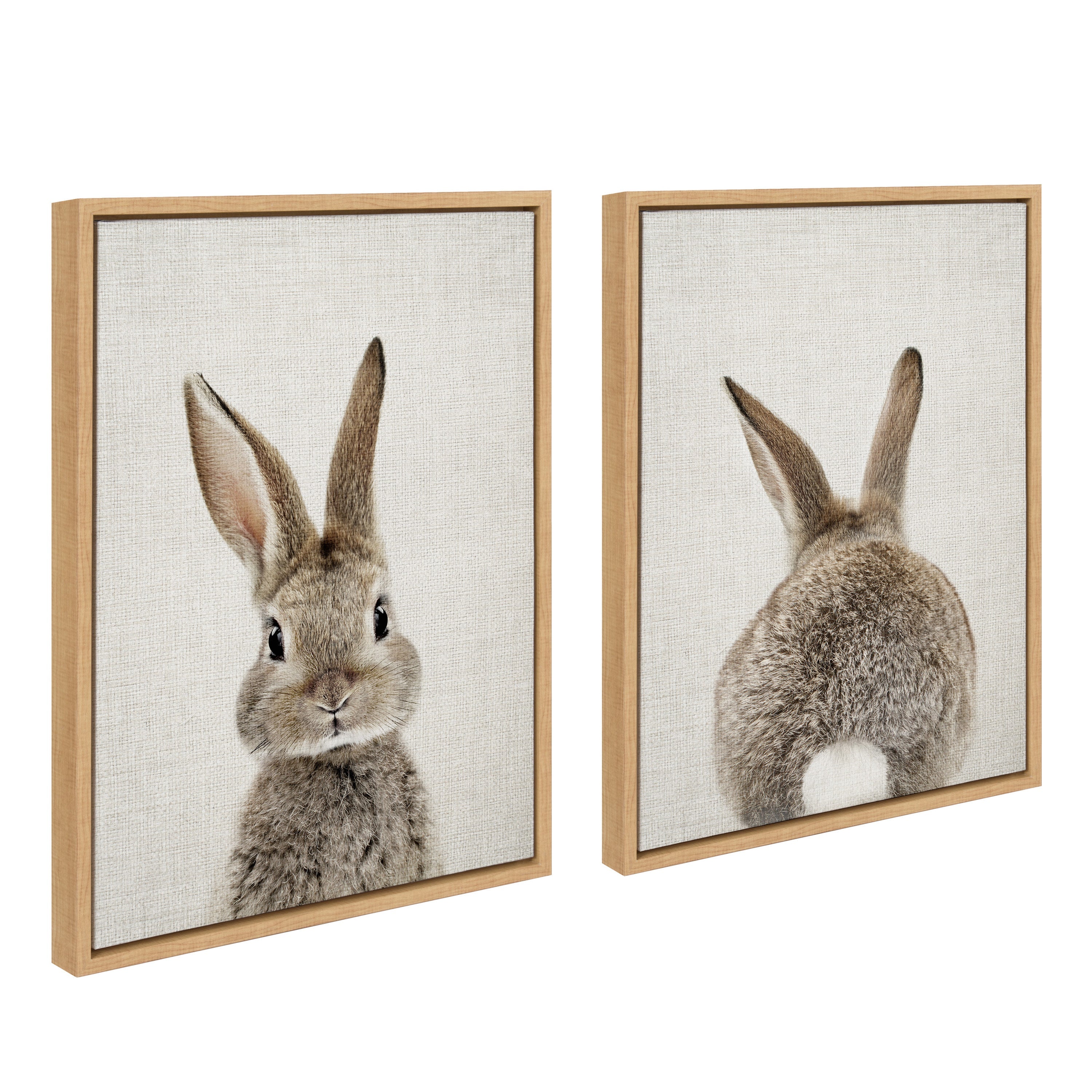 Sylvie Bunny Portrait and Bunny Tail Framed Canvas Art Set by Amy Peterson Art Studio
