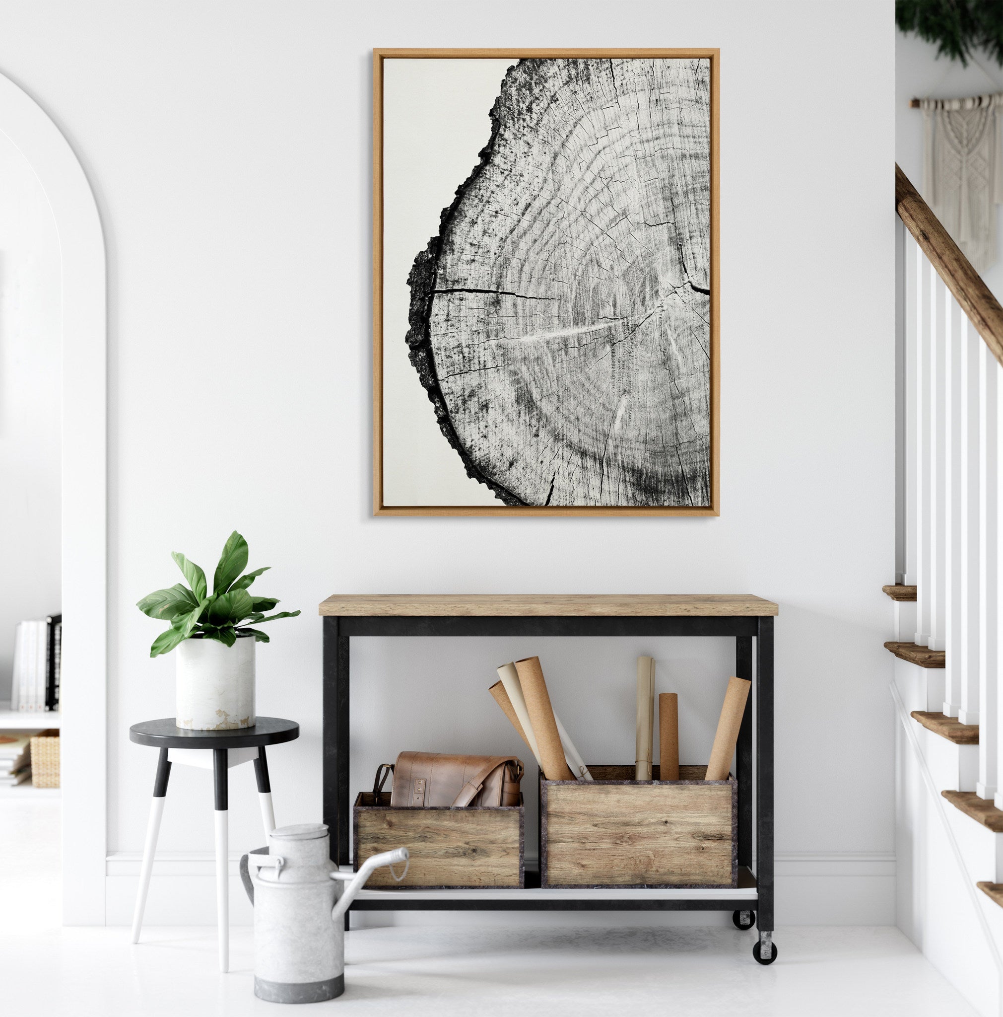 Sylvie Tree Rings BW Framed Canvas by kateandlaurel - product image 6 for Resin Society