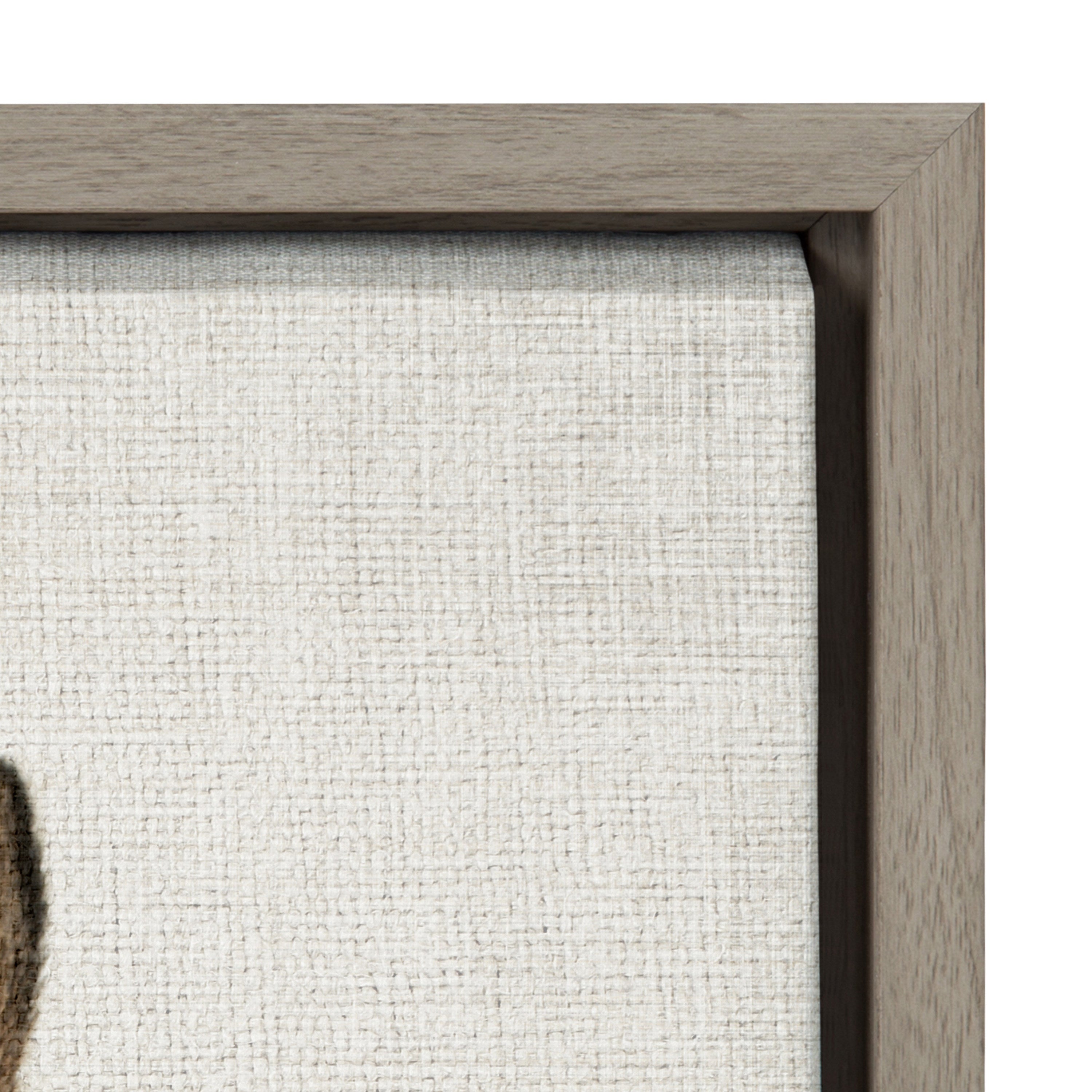 Sylvie Bunny Portrait and Bunny Tail Framed Canvas Art Set by Amy Peterson Art Studio
