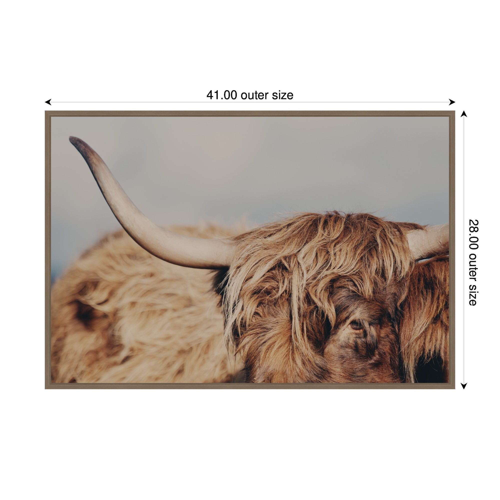 Highland Cow No.
4 Close by Laura Evans Framed Canvas Wall Art Print