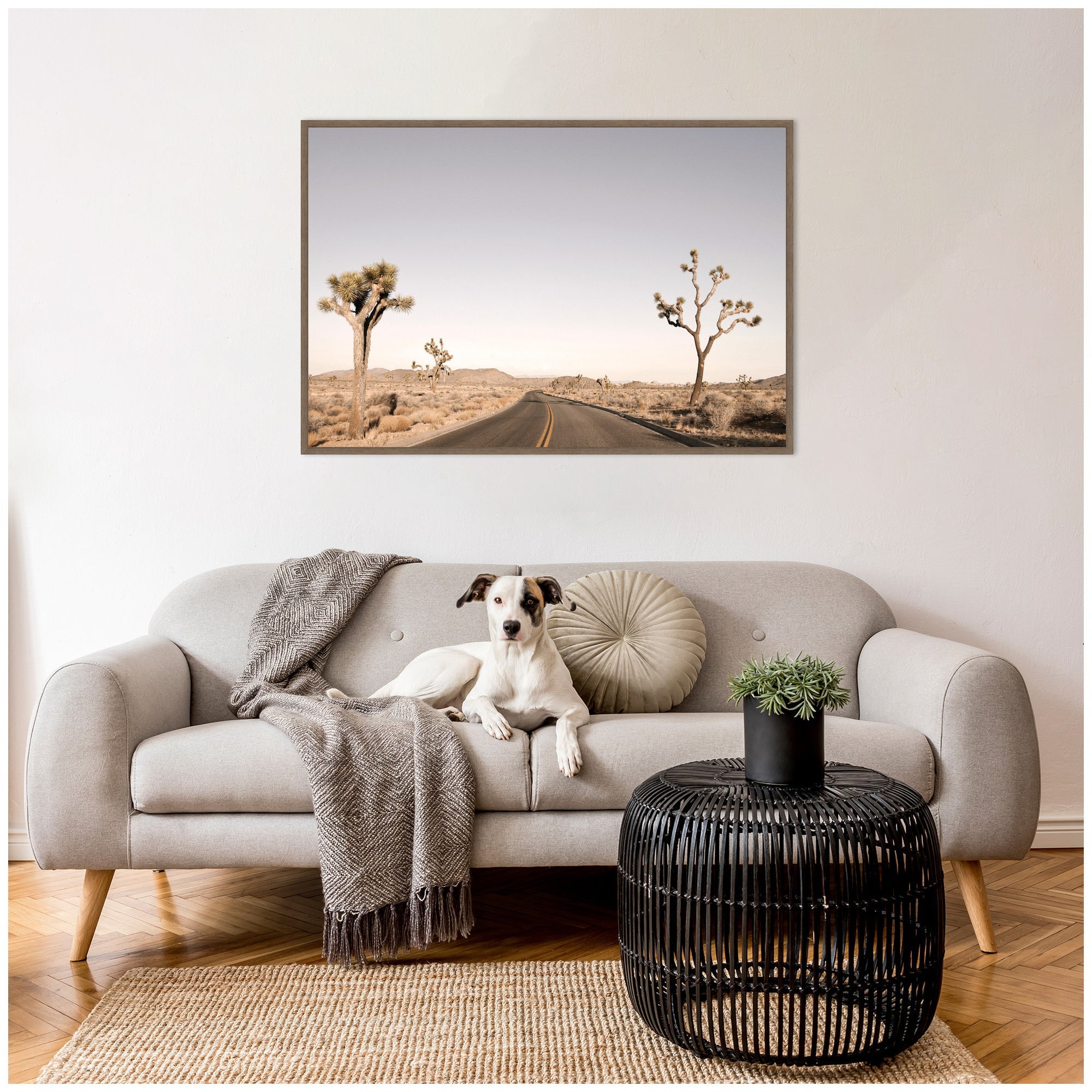Driving Joshua Tree No.
3 by Alicia Bock Framed Canvas Wall Art Print