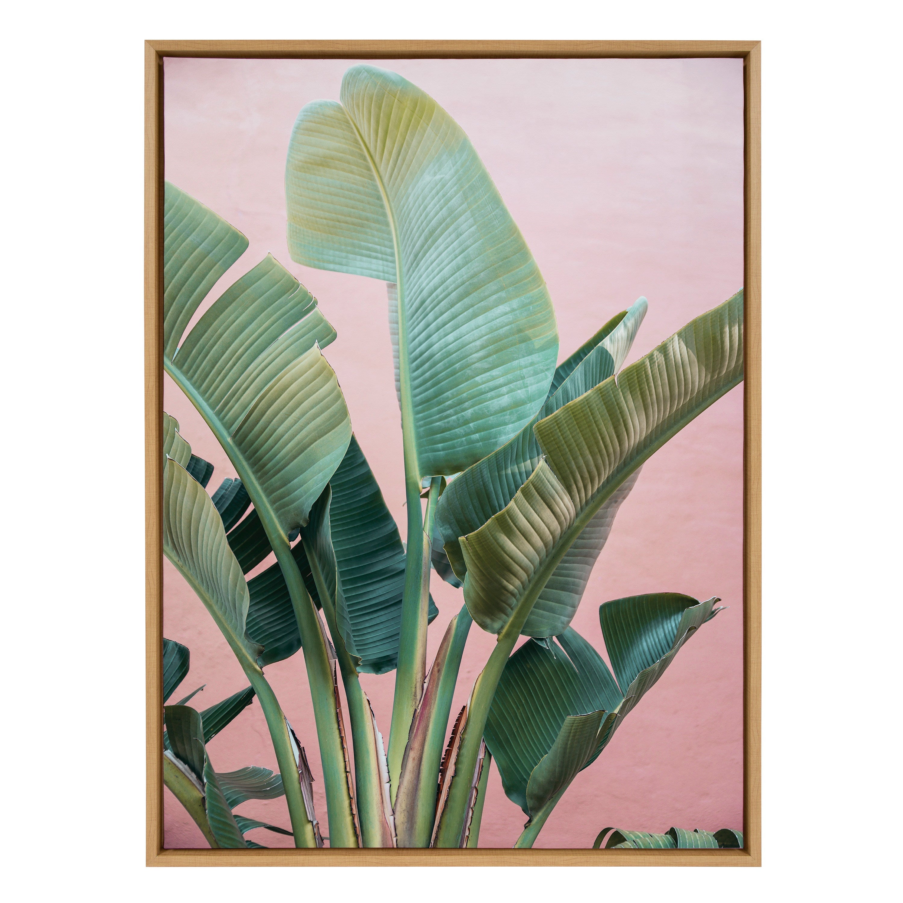 Sylvie Tropic Pink Framed Canvas by Alicia Bock