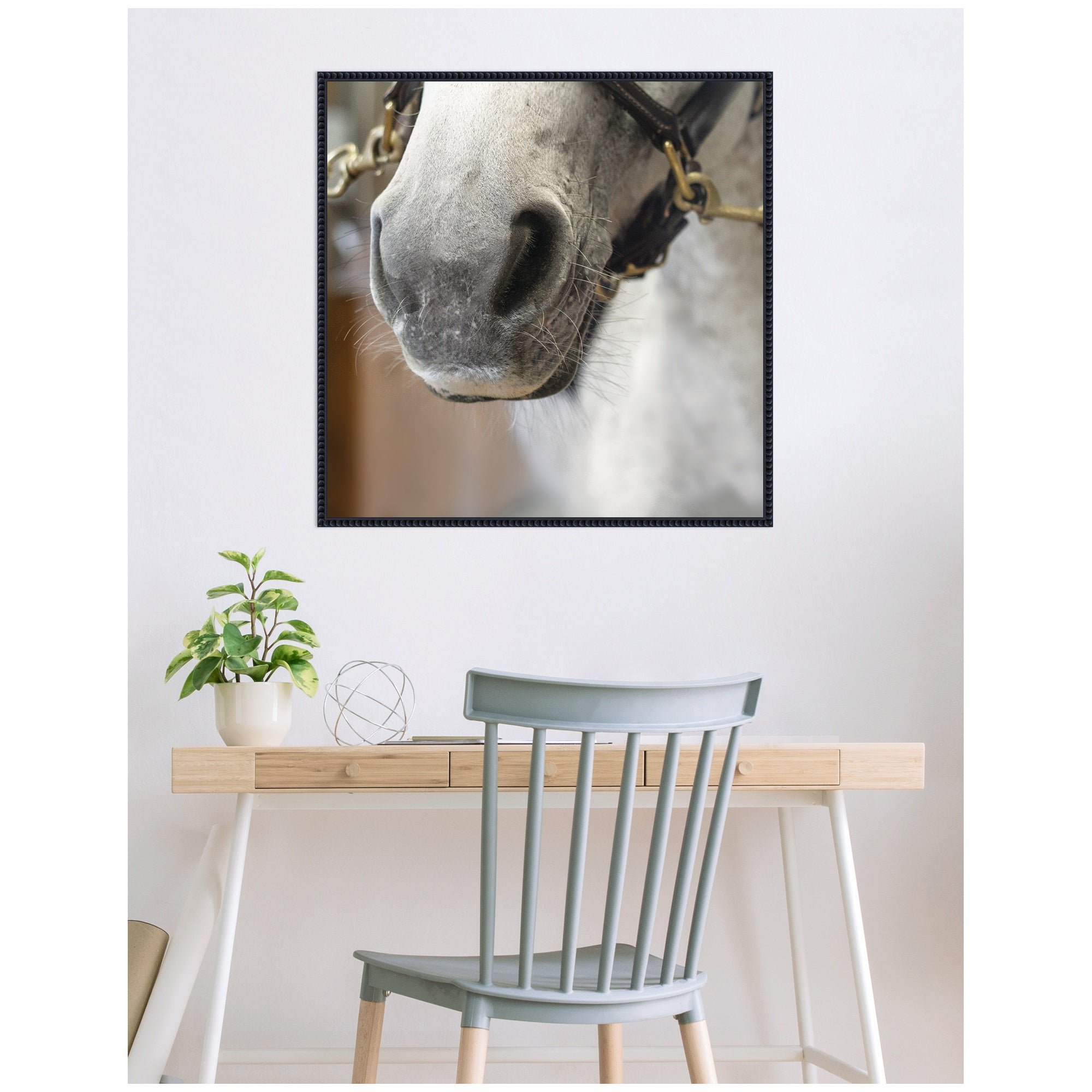 Barn Day Horse by Emiko and Mark Franzen F2 Images Framed Canvas Wall Art Print