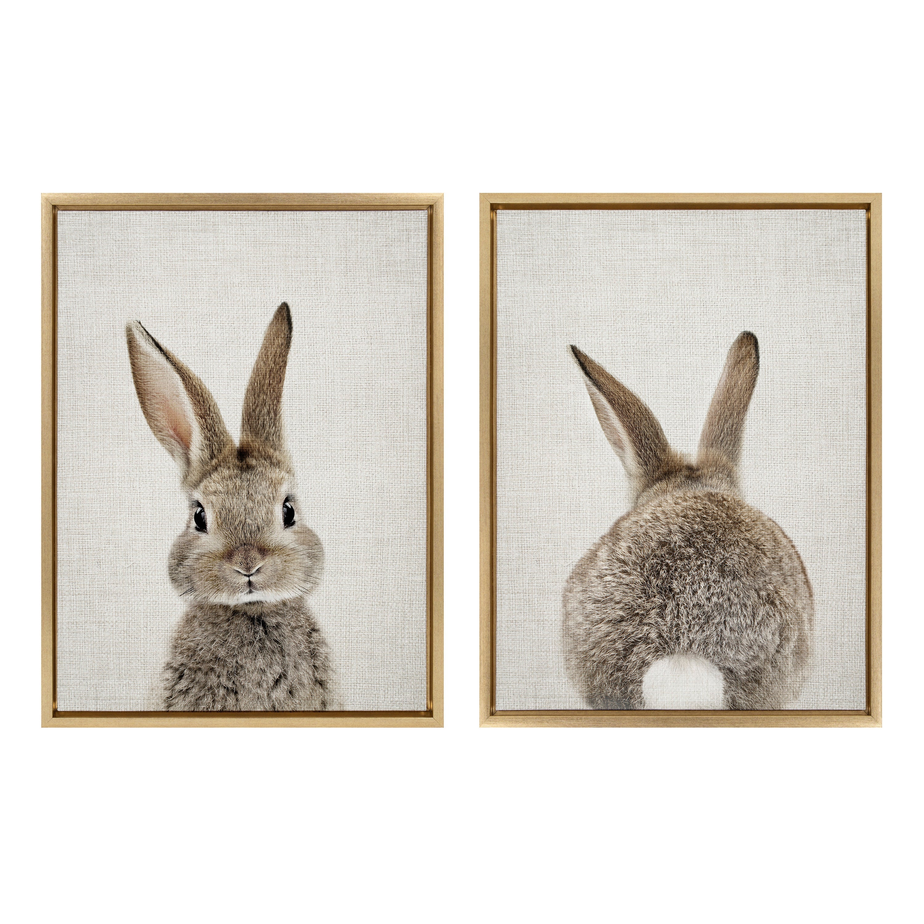 Sylvie Bunny Portrait and Bunny Tail Framed Canvas Art Set by Amy Peterson Art Studio