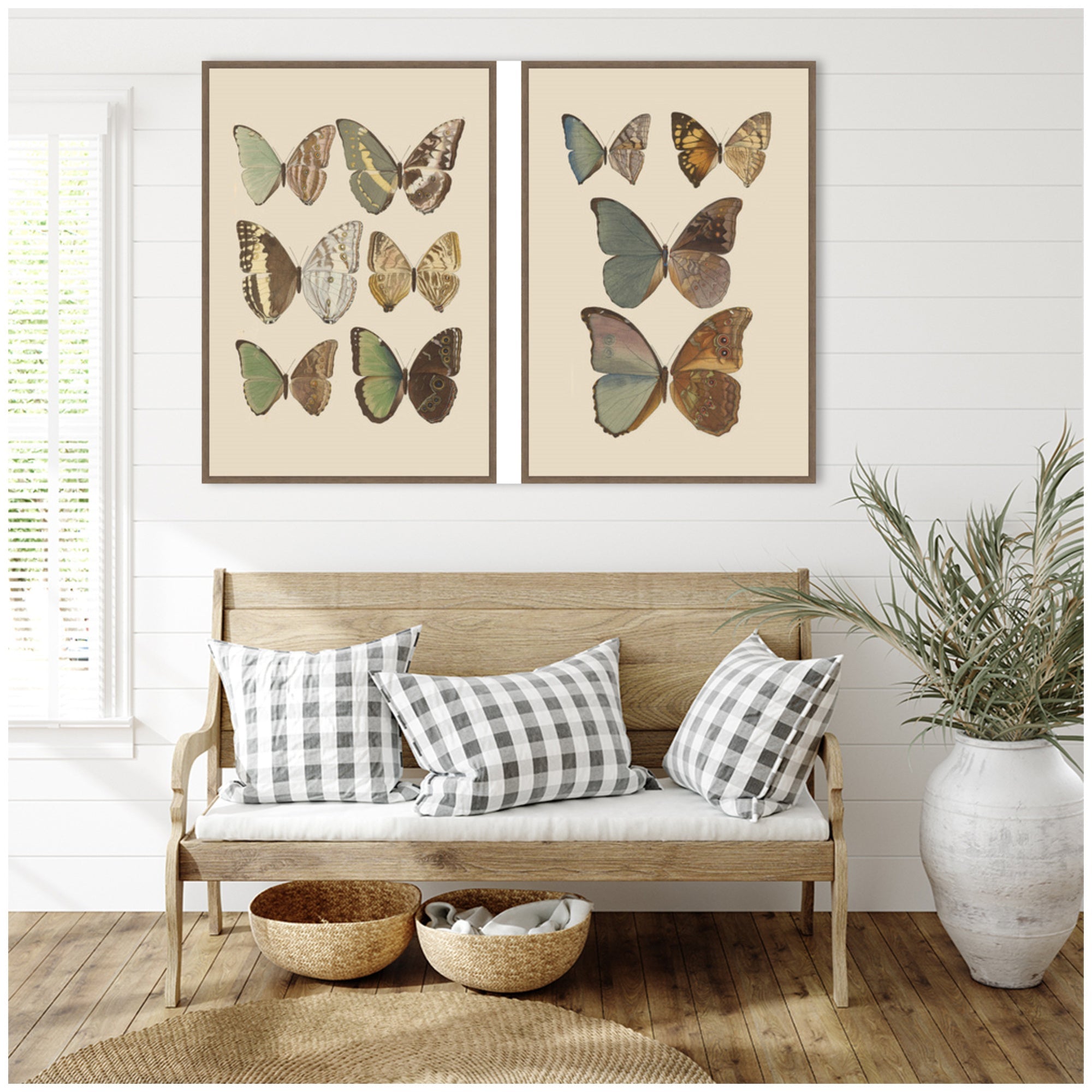 Exotische schmetterlinge Otto Staudinger 2 Piece Framed Canvas Wall Art Set by Nostalgia Prints