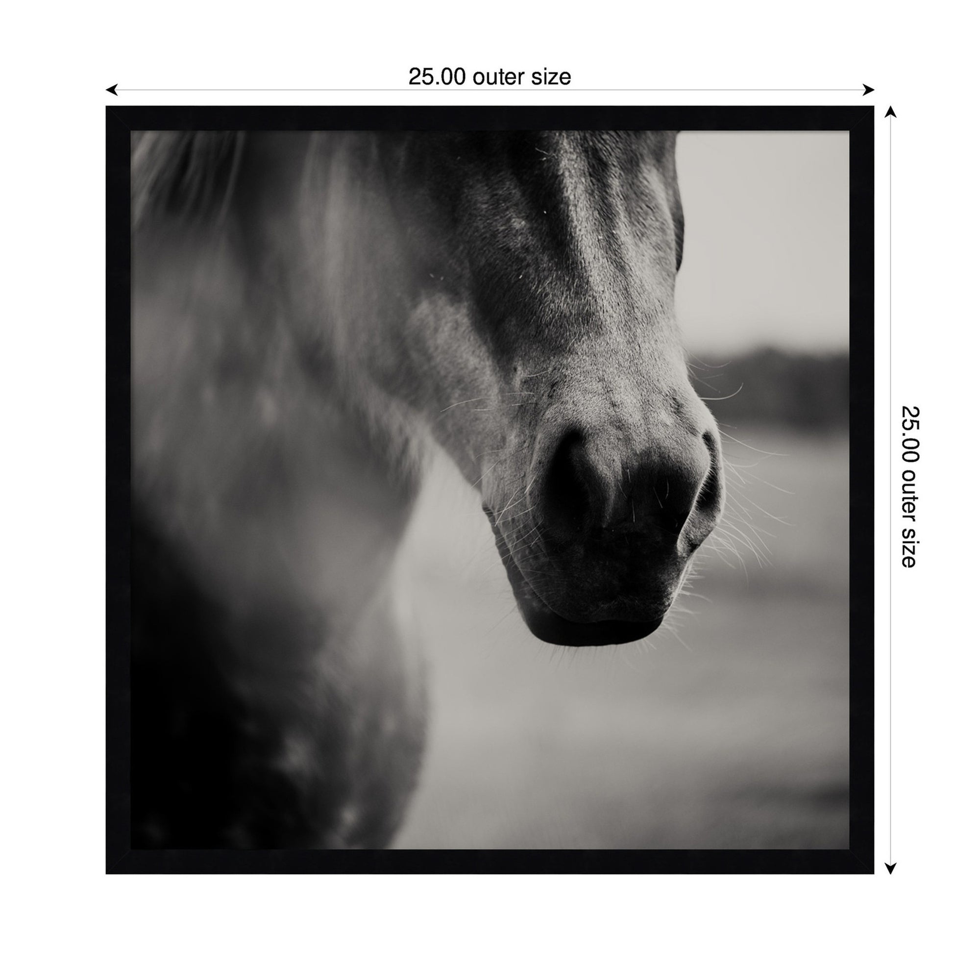 Horse Like Velvet by Laura Evans Framed Wall Art Print