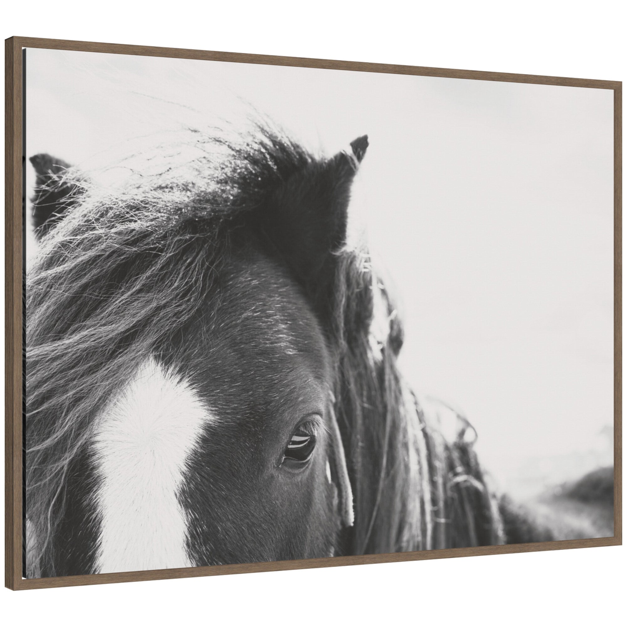 AA Noble framed canvas wall art featuring rustic farmhouse style, displayed in Sylvie designer moulding.