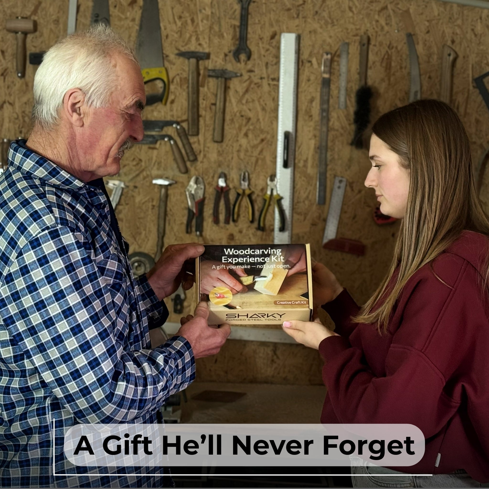 DIY Bird Wood Carving and Painting Kit with tools, wood blocks, paint set, and instructional video by Sharky Forged Steel Tools