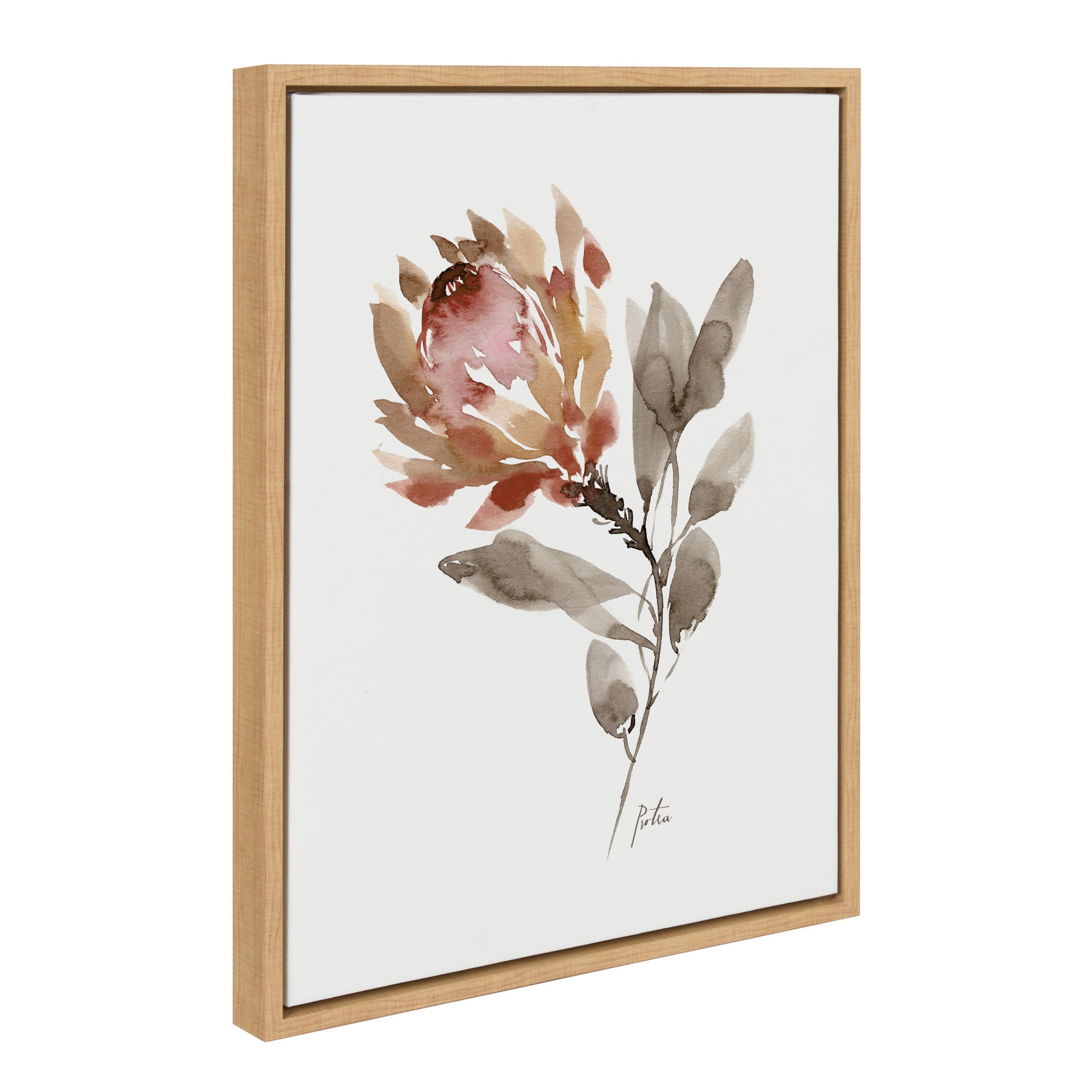 Sylvie Wild King Protea Framed Canvas by kateandlaurel - product image 2 for Resin Society