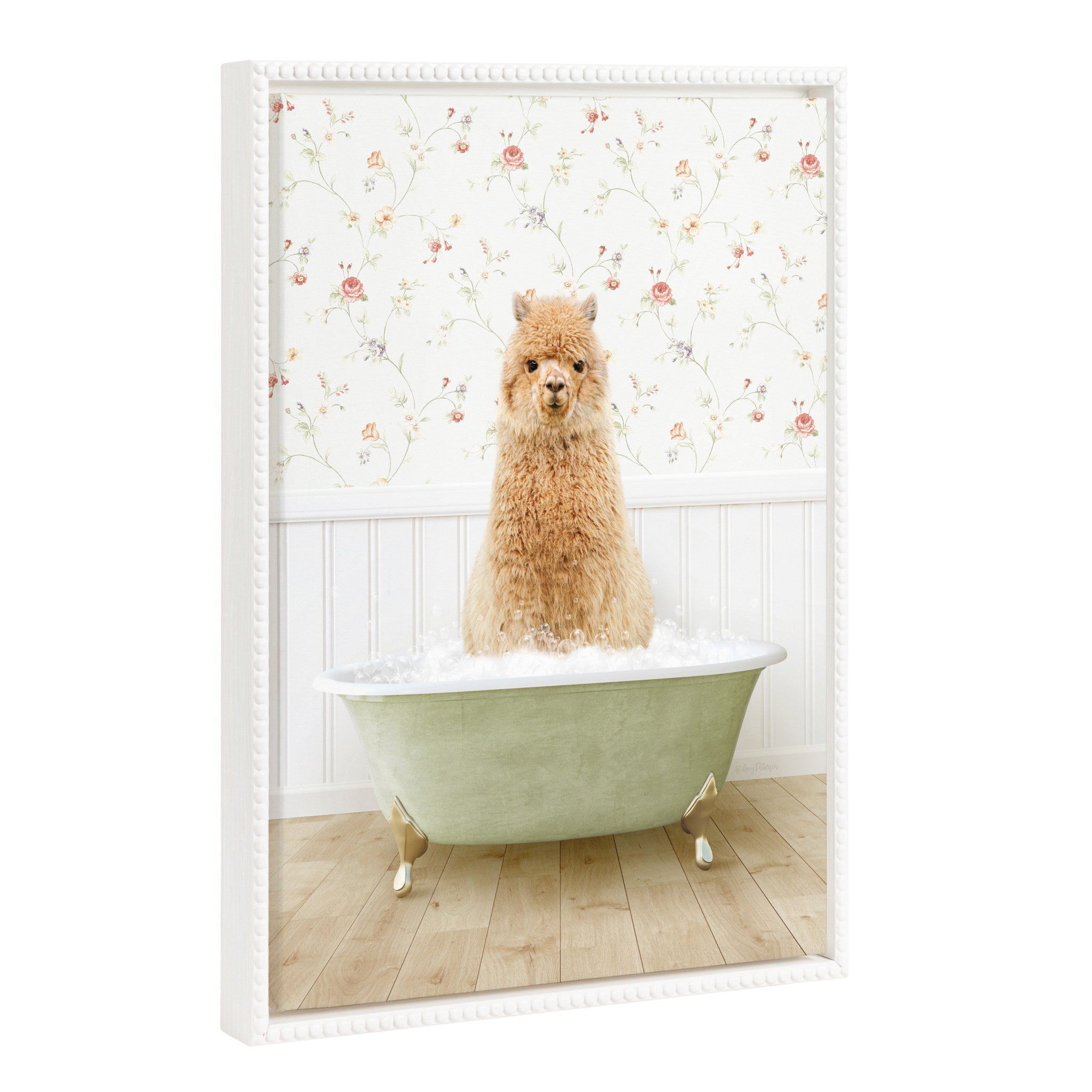 Sylvie Beaded Baby Golden Alpaca in Country Cottage Bath framed canvas art by Amy Peterson
