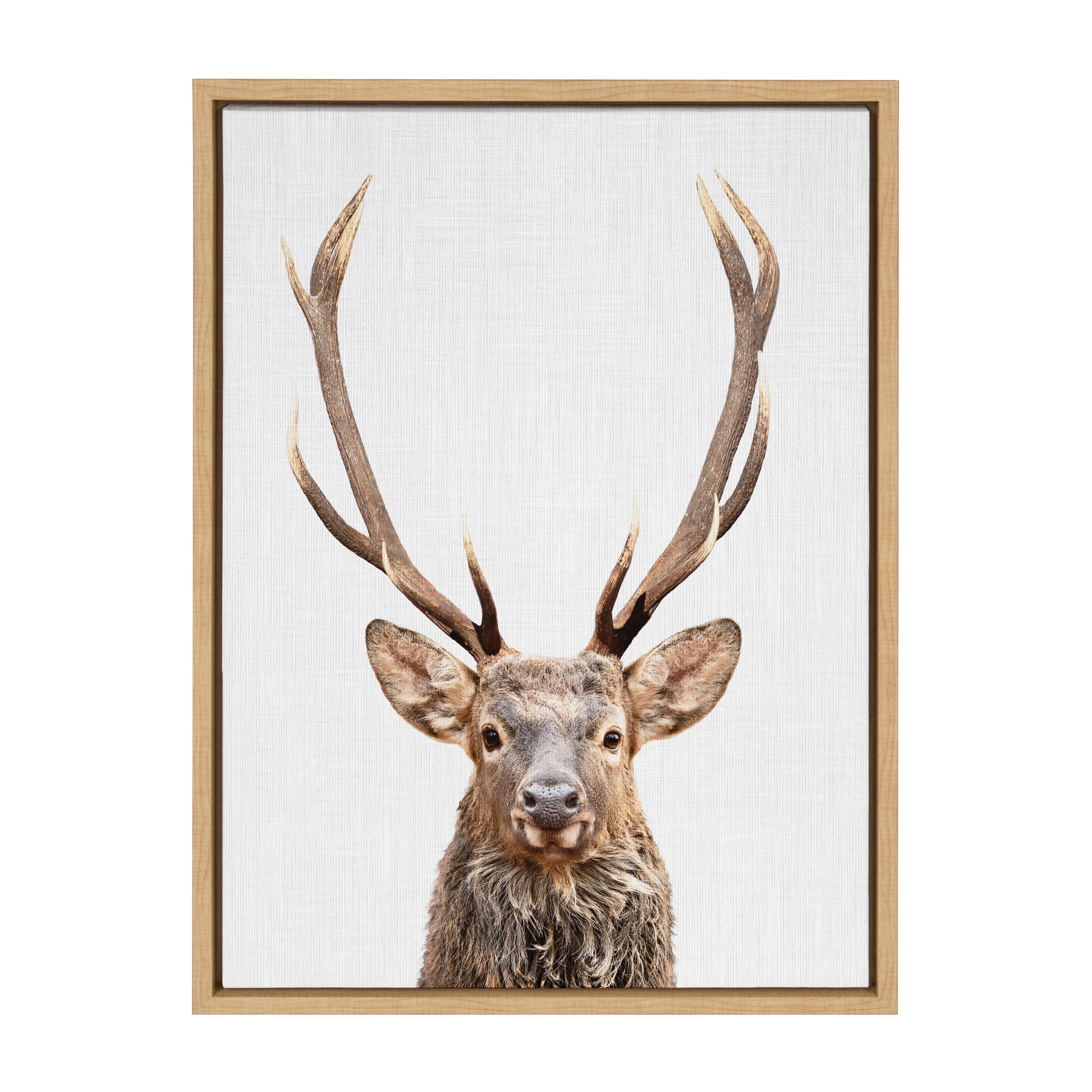 Sylvie The Red Deer Color Framed Canvas by Simon Te of Tai Prints by kateandlaurel - product image 13 for Resin Society
