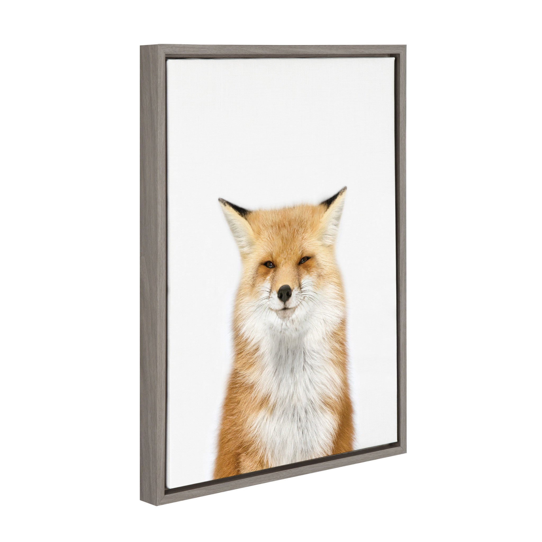 Sylvie Animal Studio Fox 3 Framed Canvas by Amy Peterson Art Studio