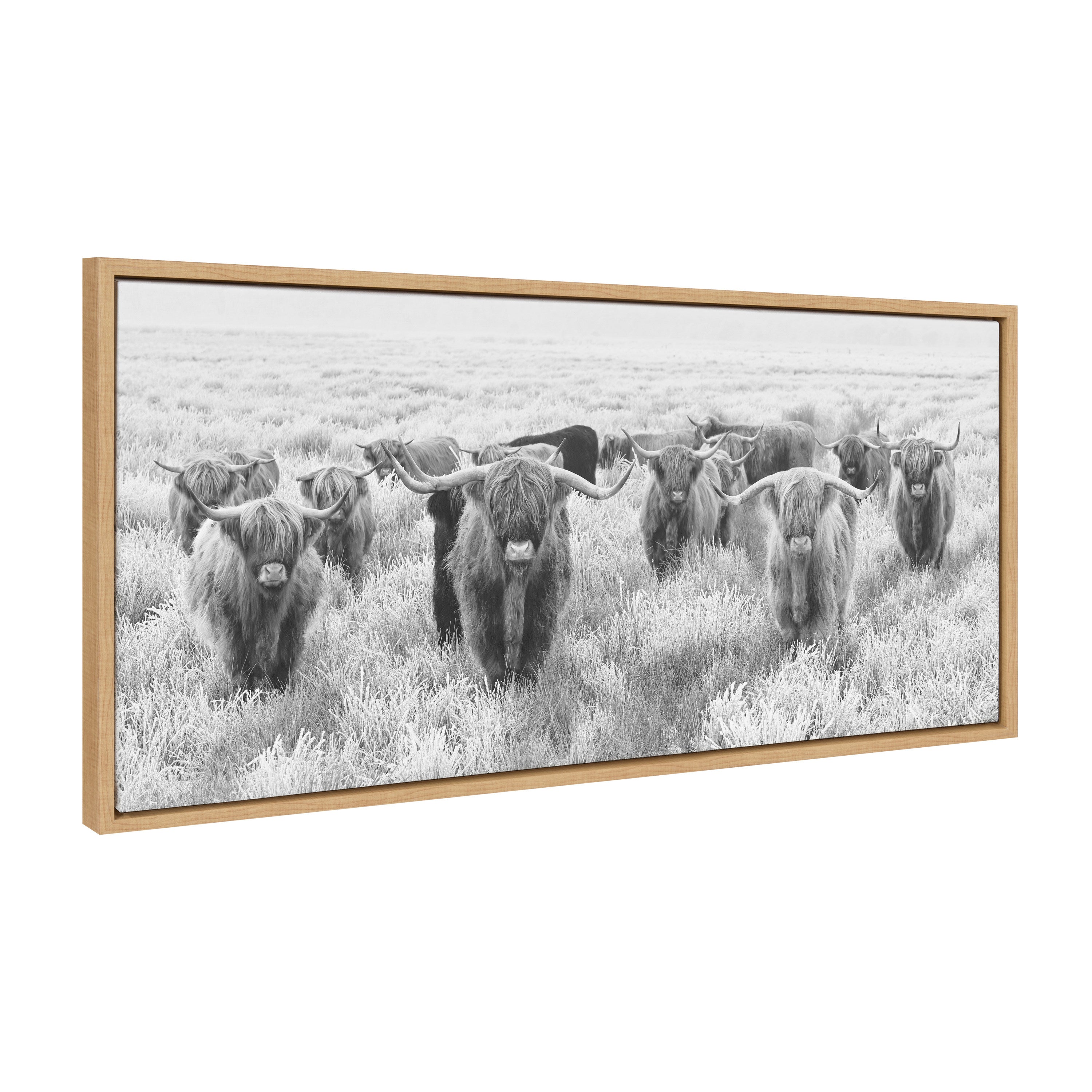 Sylvie Herd of Highland Cows Black and White Framed Canvas by The by kateandlaurel - product image 18 for Resin Society