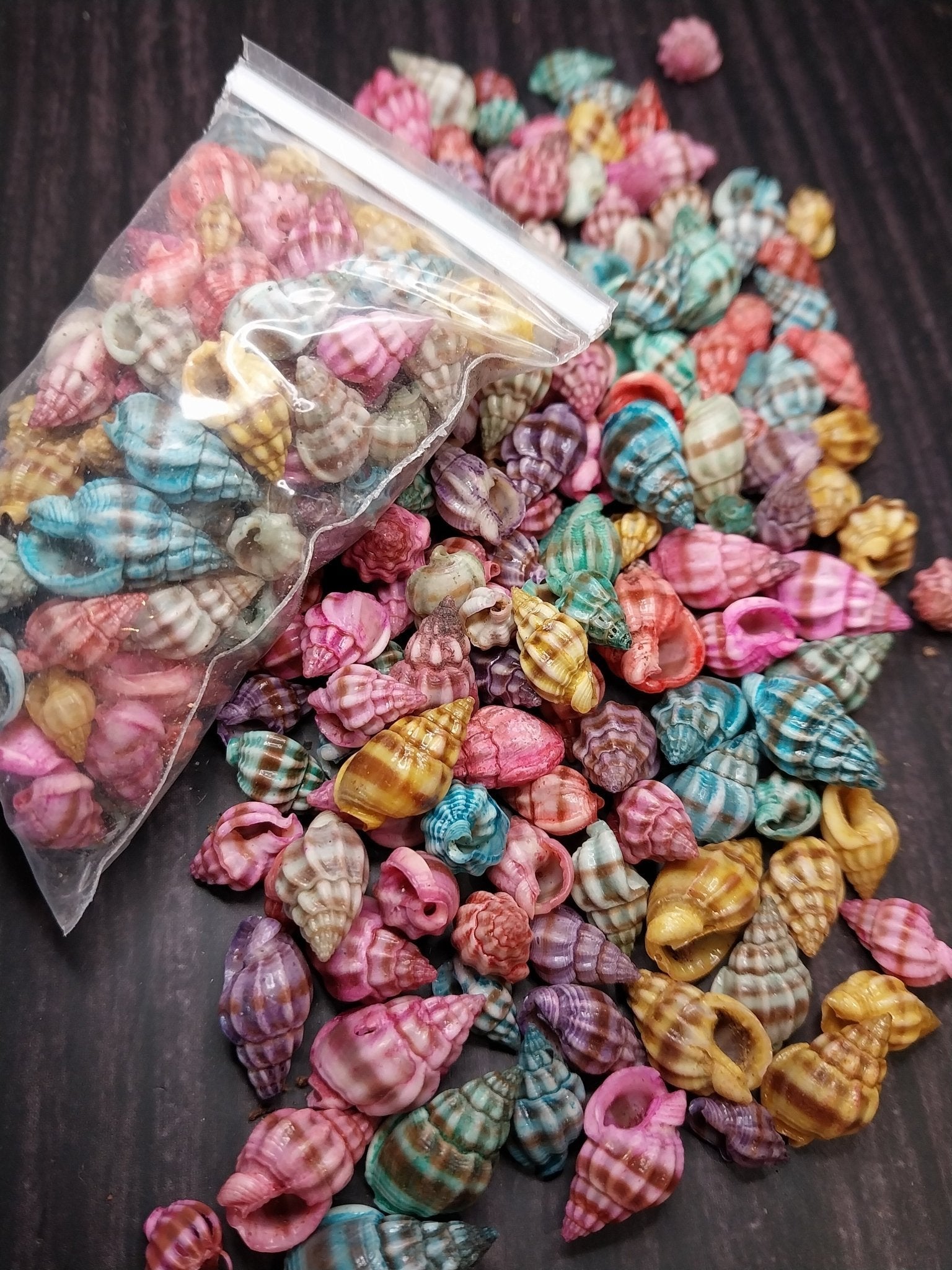 Brightly dyed Nassarius stolatus spiral shells in assorted tropical colors for crafting and jewelry