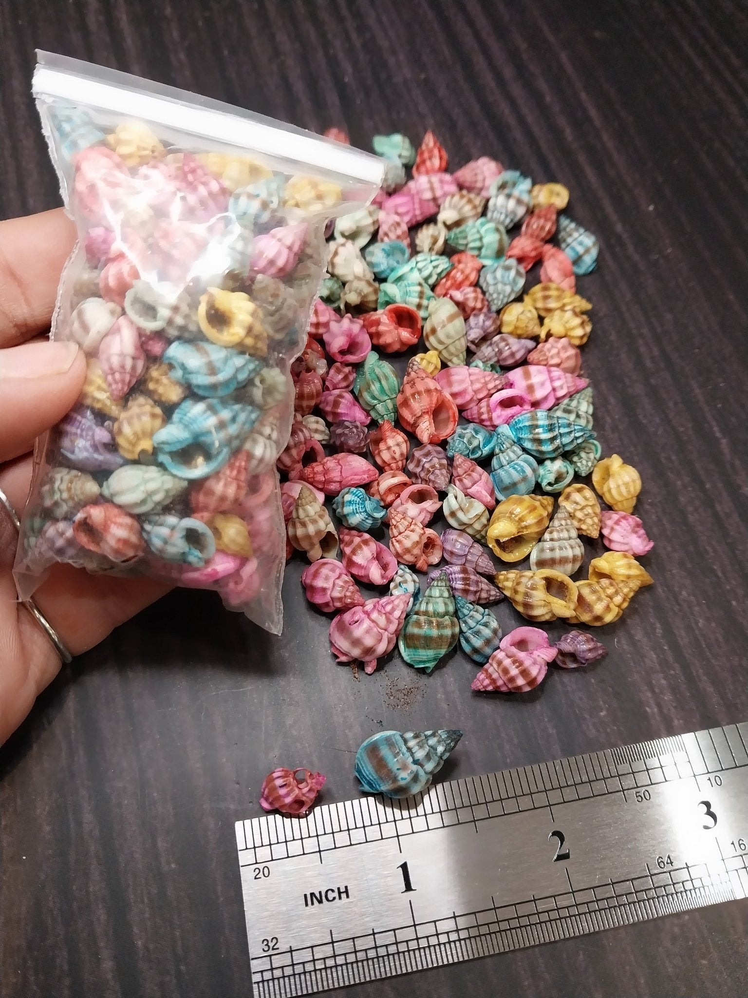 Brightly dyed Nassarius stolatus spiral shells in assorted tropical colors for crafting and jewelry