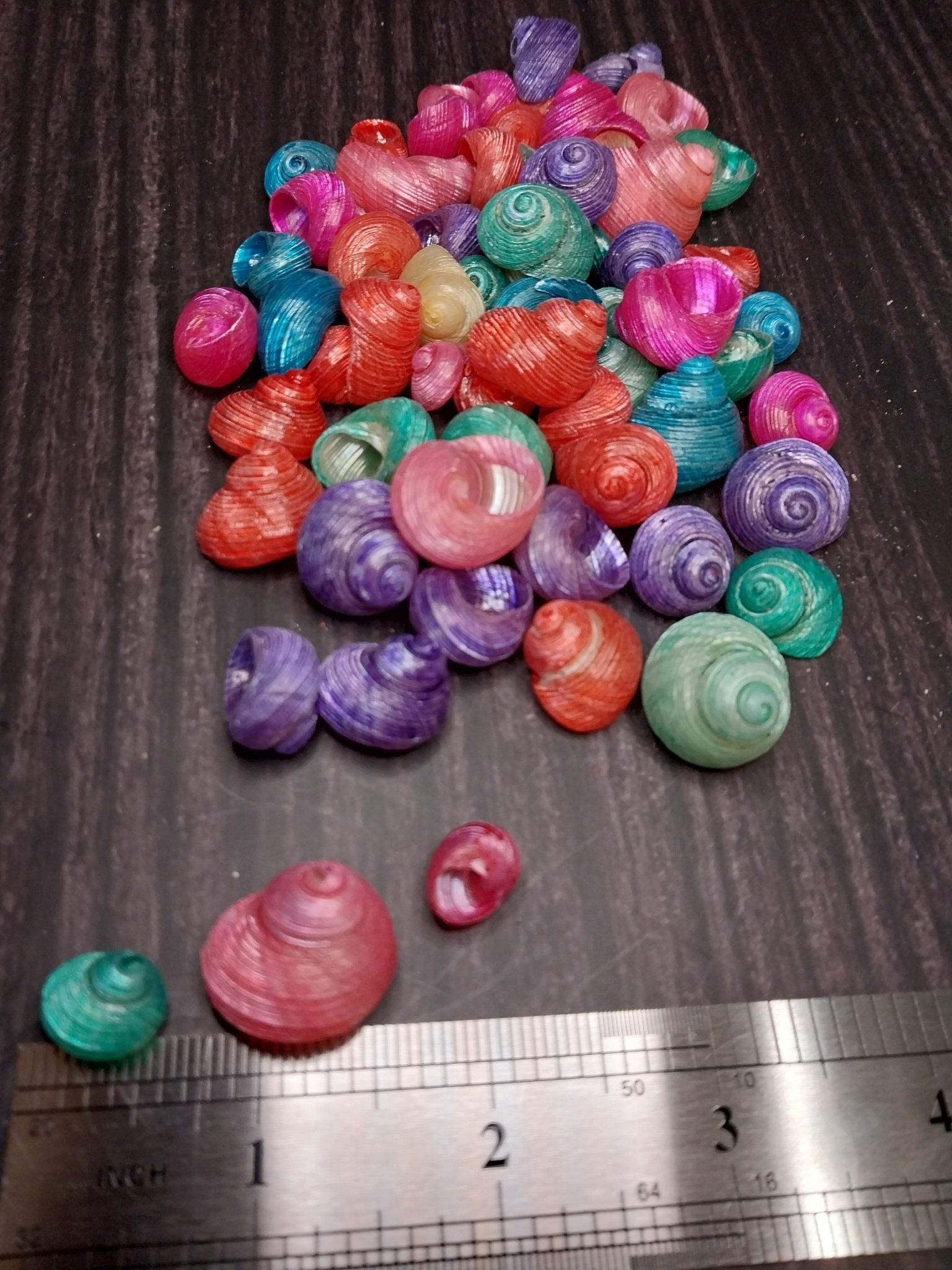 Brightly dyed turbo shells showing spiral patterns in assorted vibrant colors