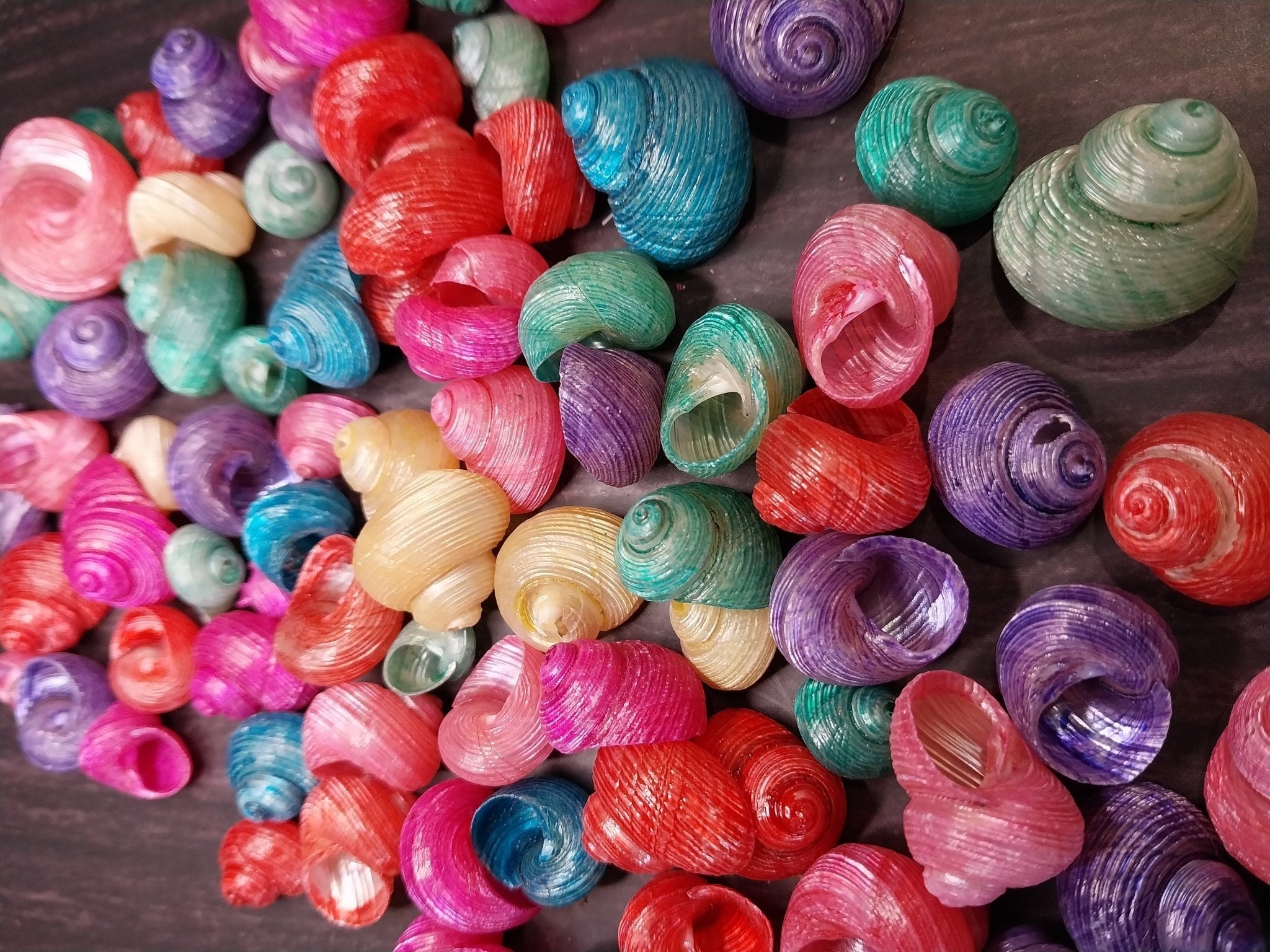 Brightly dyed turbo shells showing spiral patterns in assorted vibrant colors