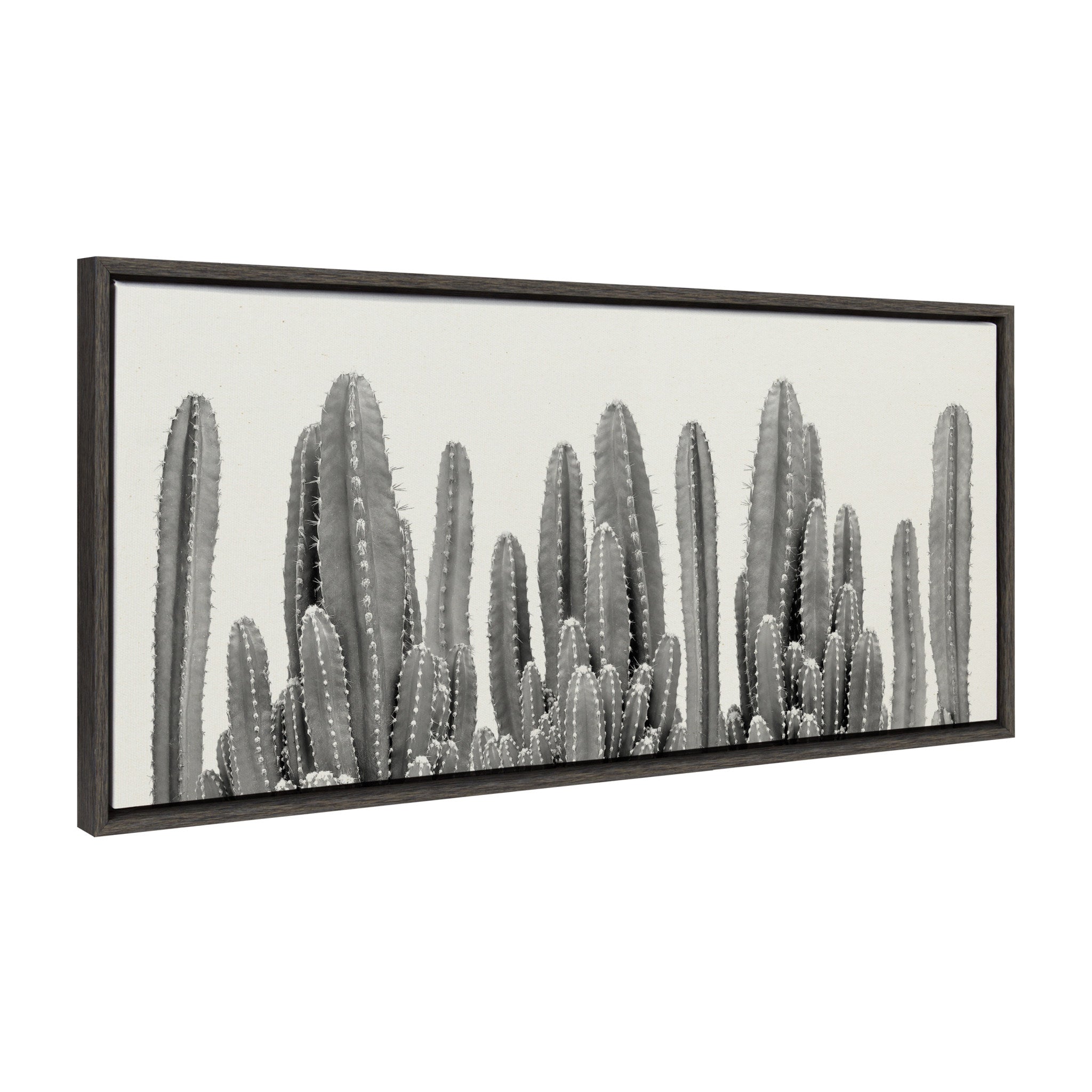 Sylvie Looking Sharp Cactus Garden Framed Canvas by The Creative Bunch by kateandlaurel - product image 2 for Resin Society