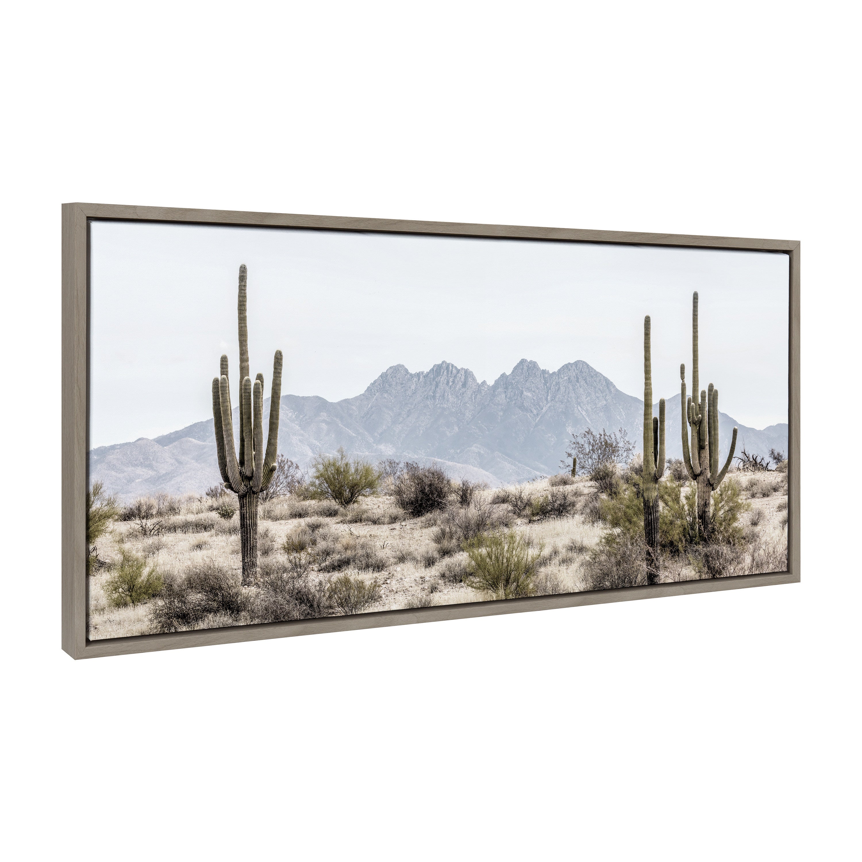 Sylvie Tall Saguaro Cacti Desert Mountain Framed Canvas by kateandlaurel - product image 19 for Resin Society