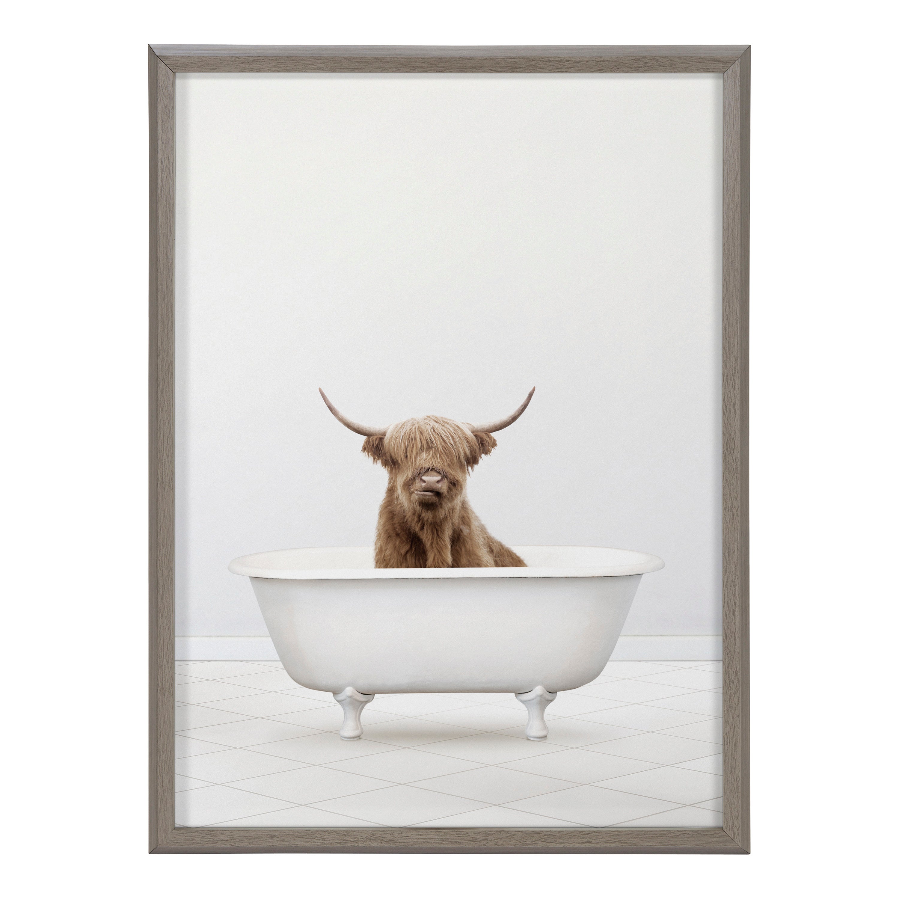 Blake Highland Cow Solo Bathtub Framed Printed Glass by Amy Peterson Art Studio