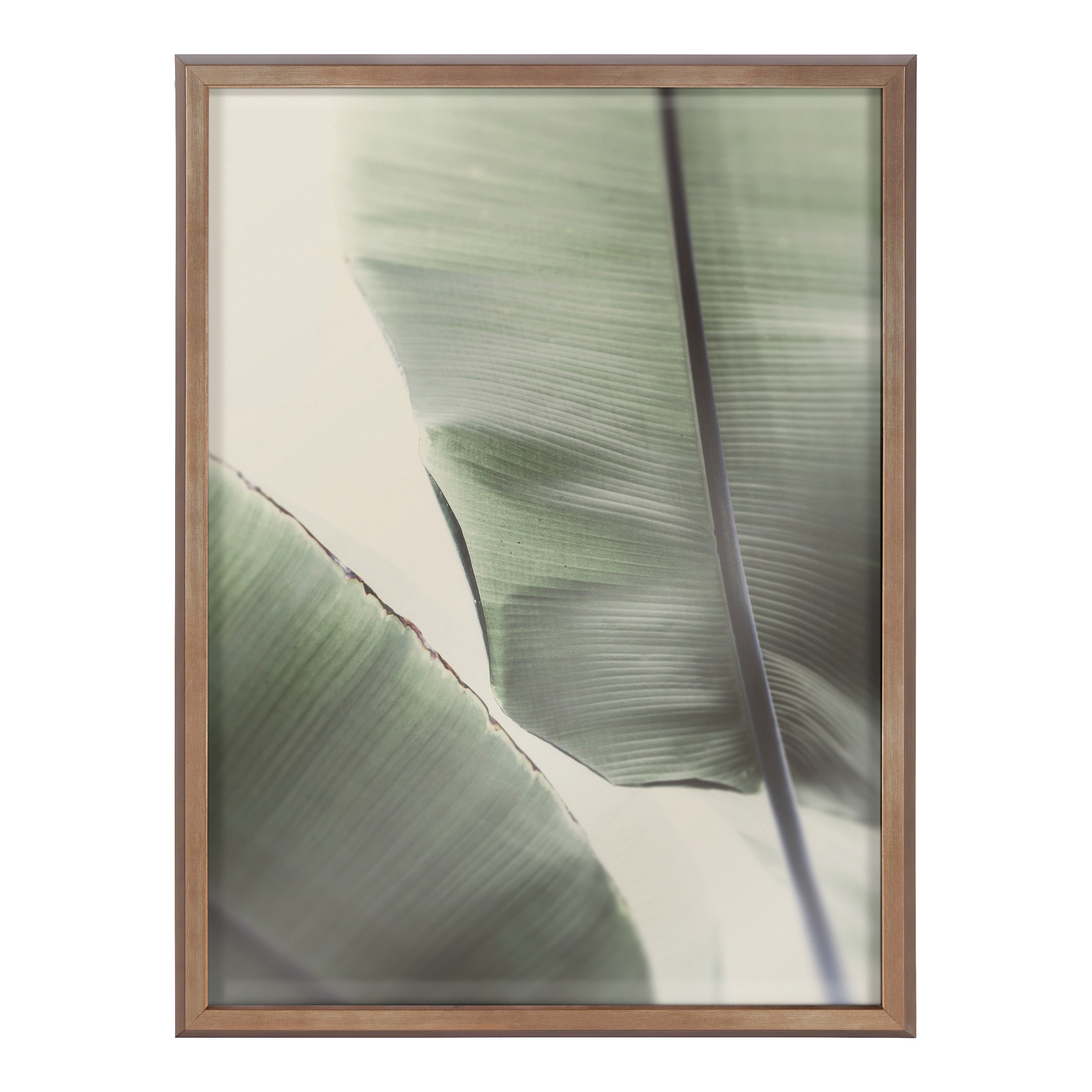 Blake Vintage Palms Framed Printed Glass by Alicia Abla by kateandlaurel - product image 2 for Resin Society