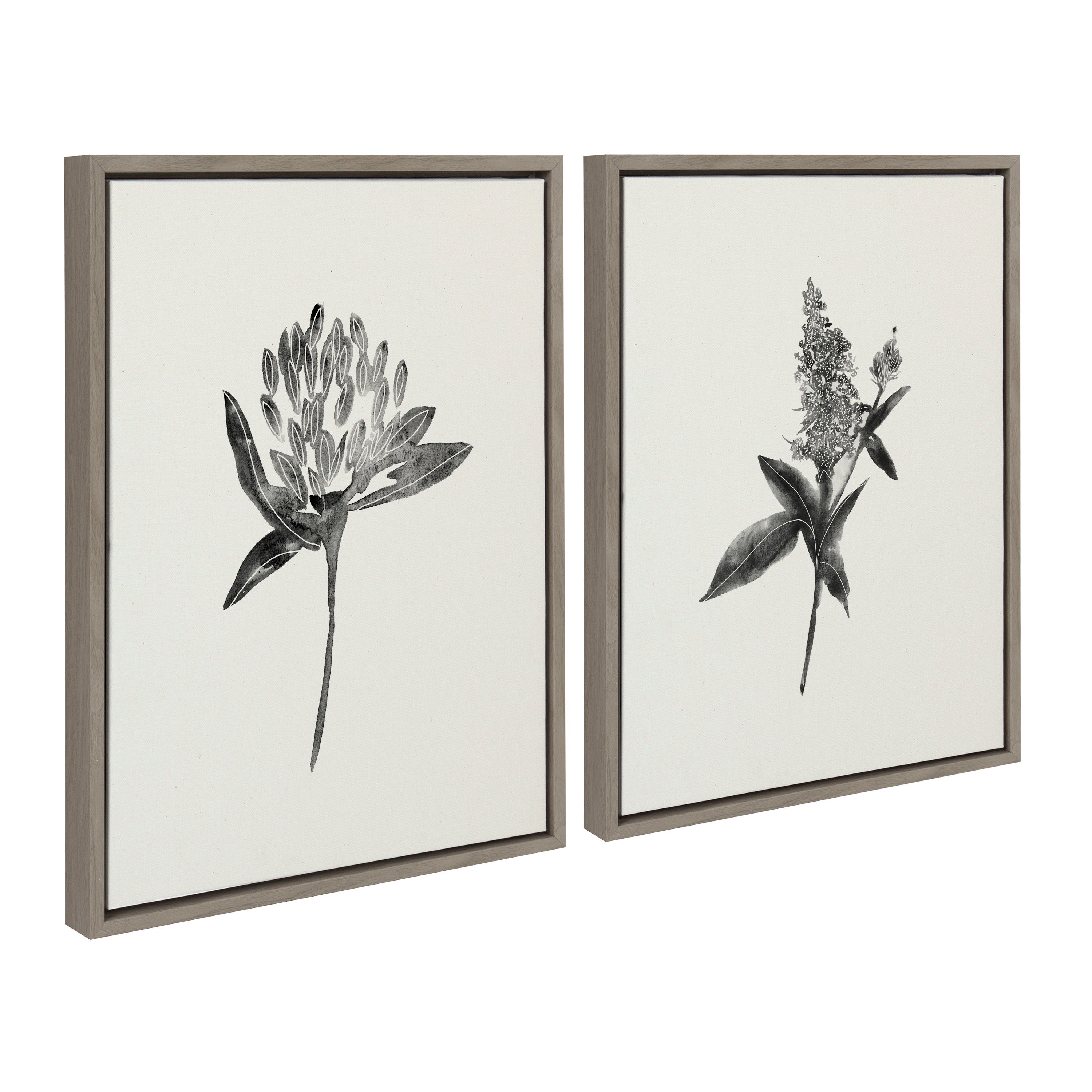 Sylvie Vintage Botanical 1 and 2 Framed Canvas by kateandlaurel - product image 13 for Resin Society