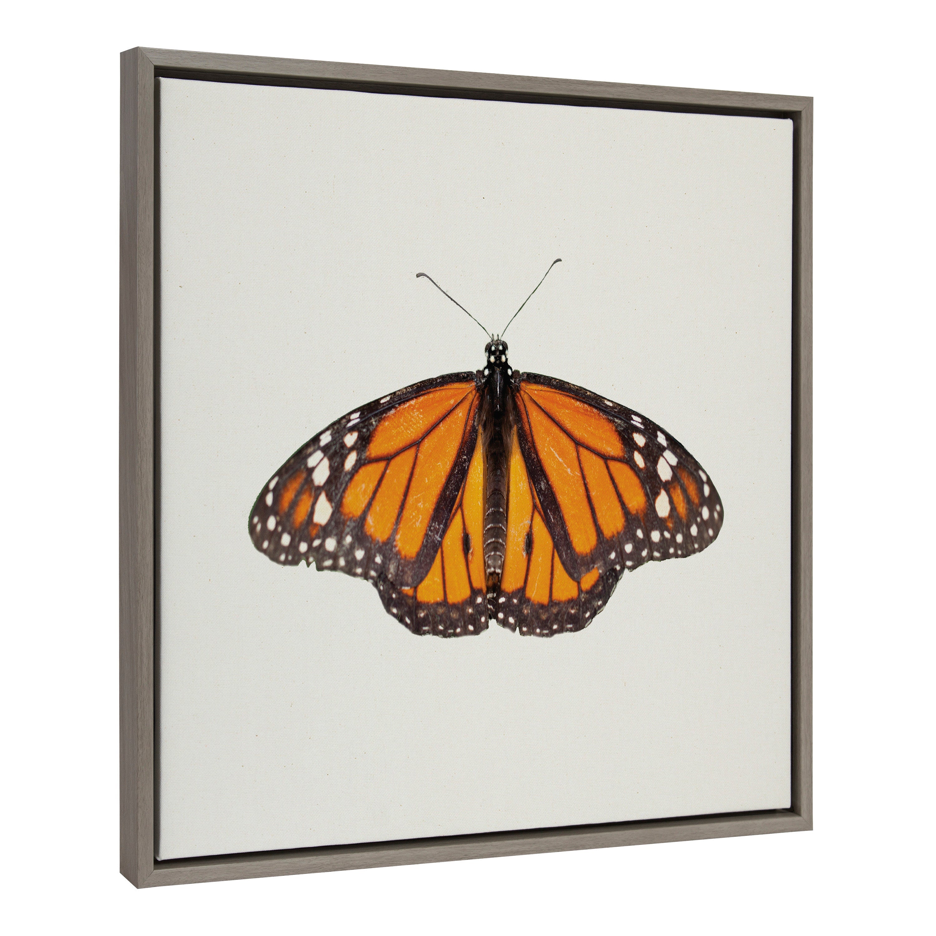 Sylvie Monarch Butterfly Framed Canvas by kateandlaurel - product image 2 for Resin Society