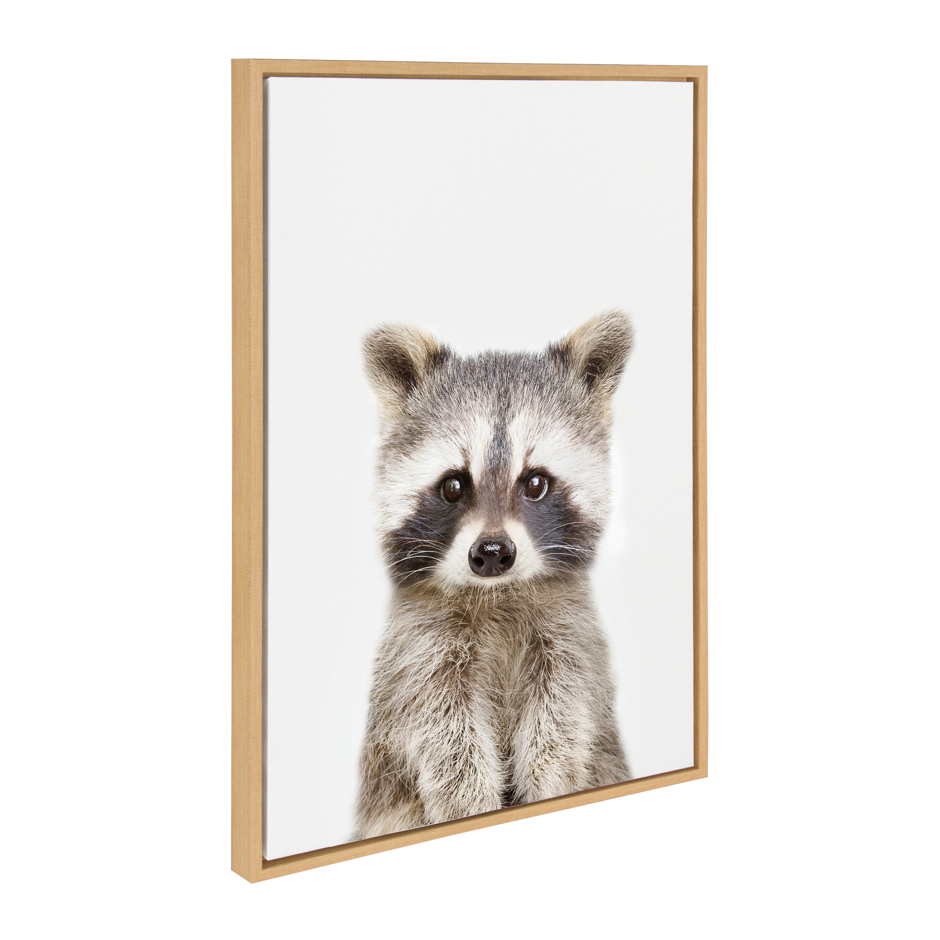Sylvie Raccoon Framed Canvas by Amy Peterson Art Studio