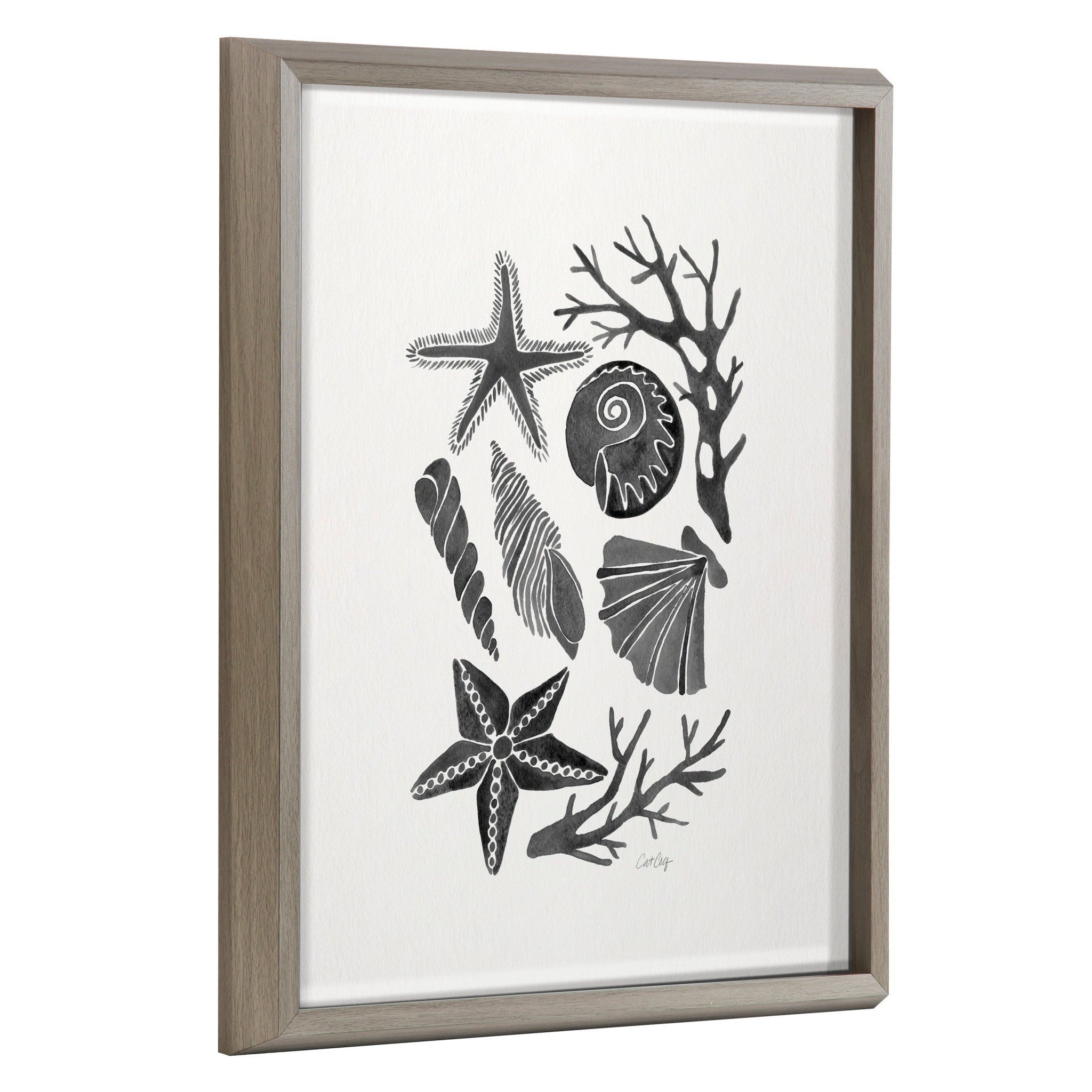 Blake Seashells Black Framed Printed Glass by Cat Coquillette by kateandlaurel - main product image for Resin Society