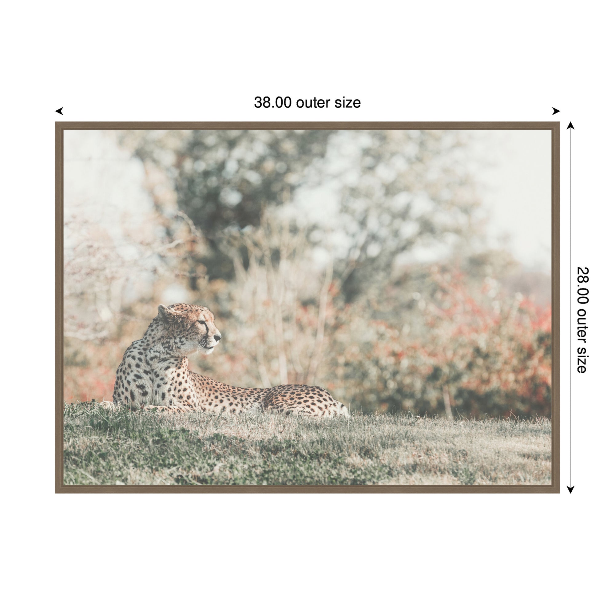 Sylvie Cheetah Glance Framed Canvas by Alicia Abla