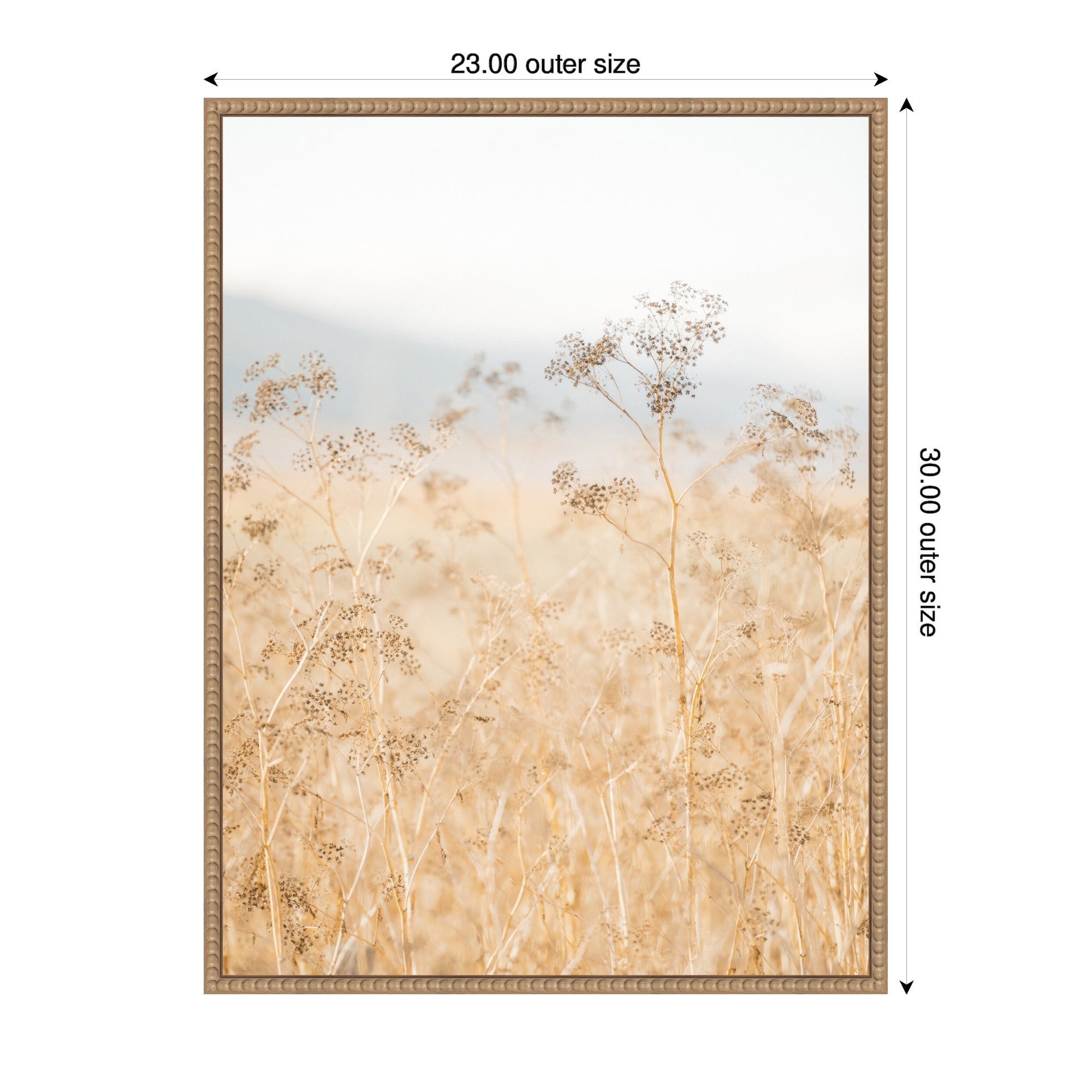 Sylvie Wild Fennel Framed Canvas by Crystal Lynn Collins
