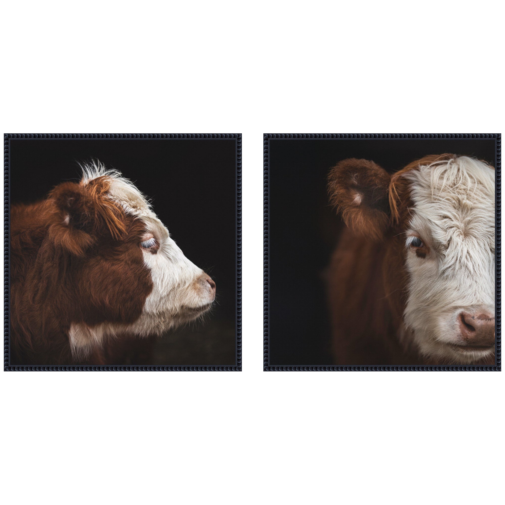 Cow Close 2 Piece Framed Canvas Wall Art featuring detailed cow close-up images in Sylvie Beaded frames