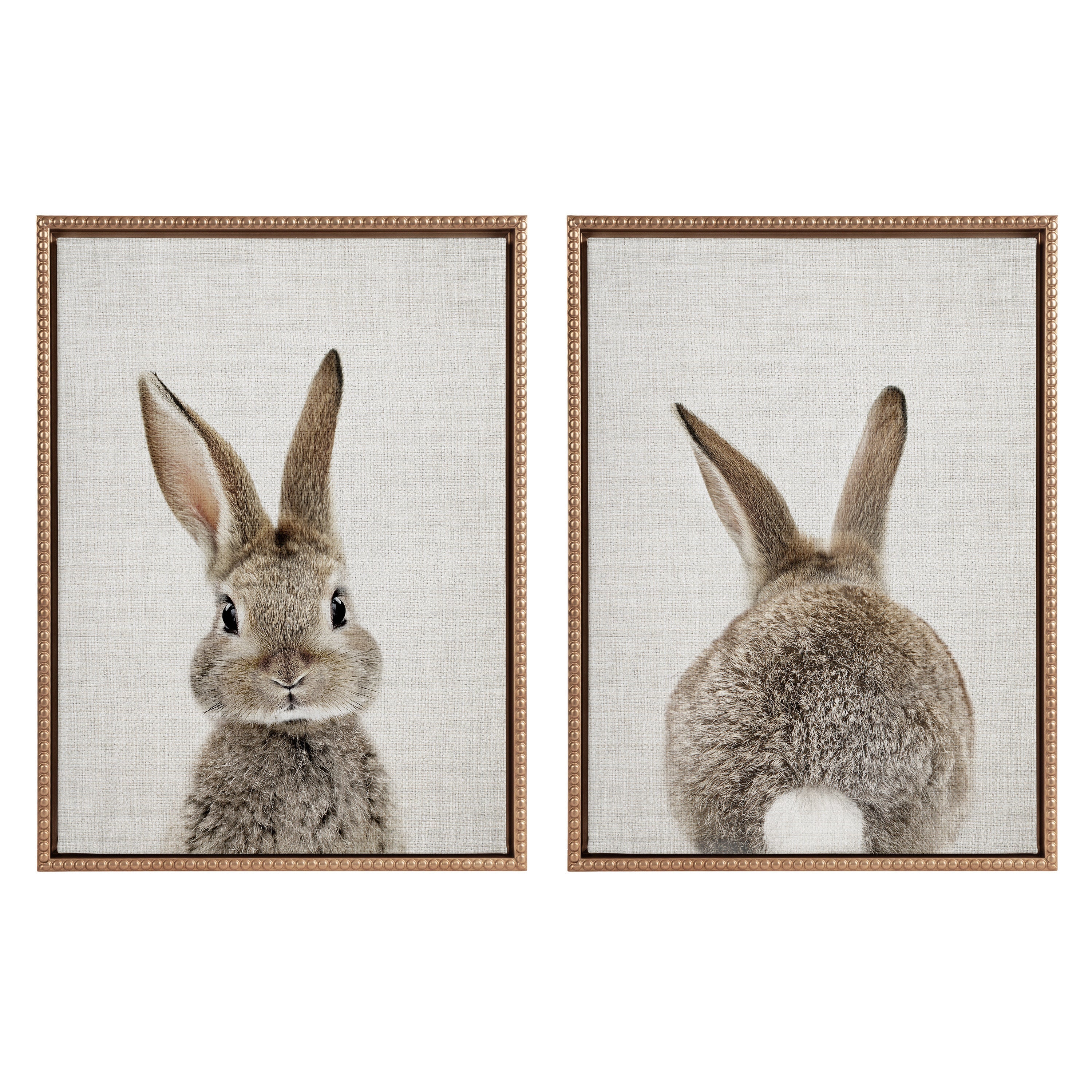 Sylvie Bunny Portrait and Bunny Tail Framed Canvas Art Set by Amy Peterson Art Studio
