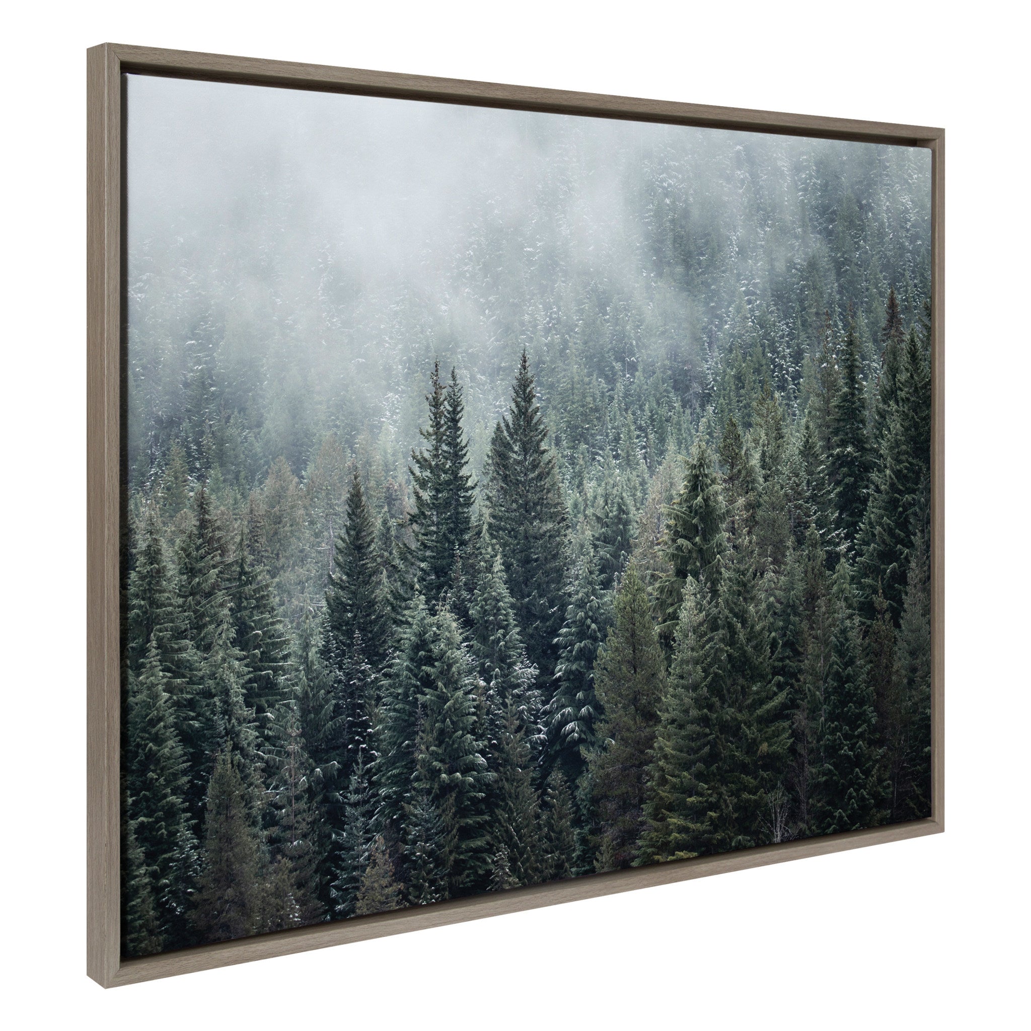 Sylvie Evergreen Dream 2 framed canvas showing lush evergreen forest in a gray floating frame