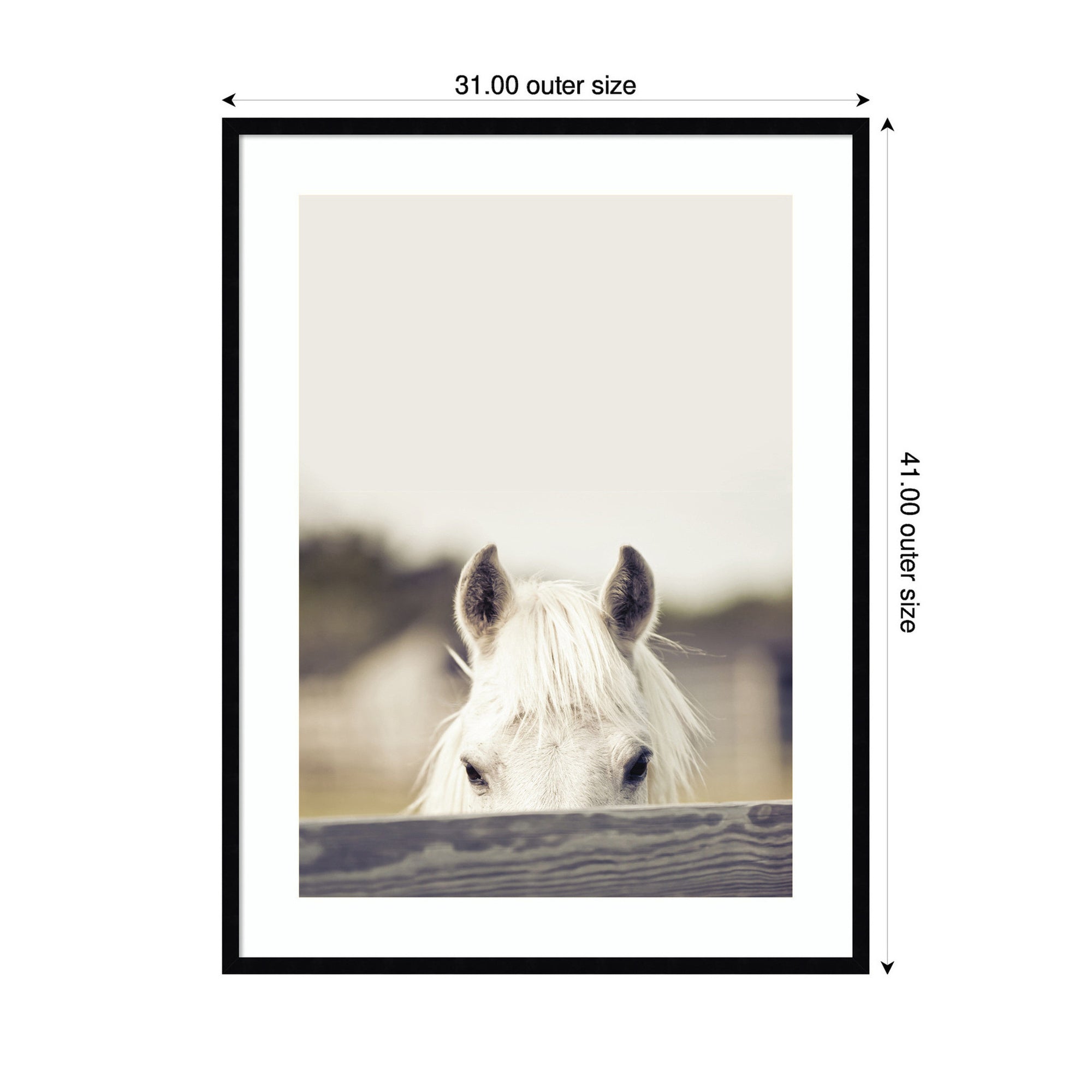 Equine Crop by Robert Cadloff Framed Wall Art Print
